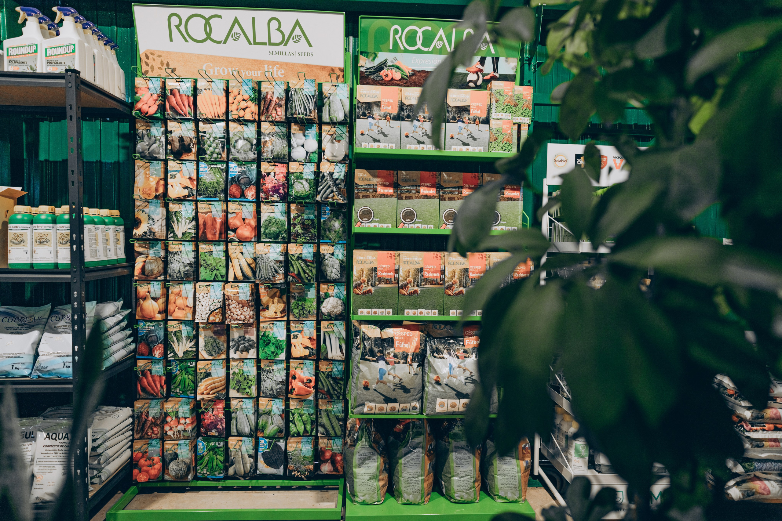 Centro Jardin. Photographer in Mallorca