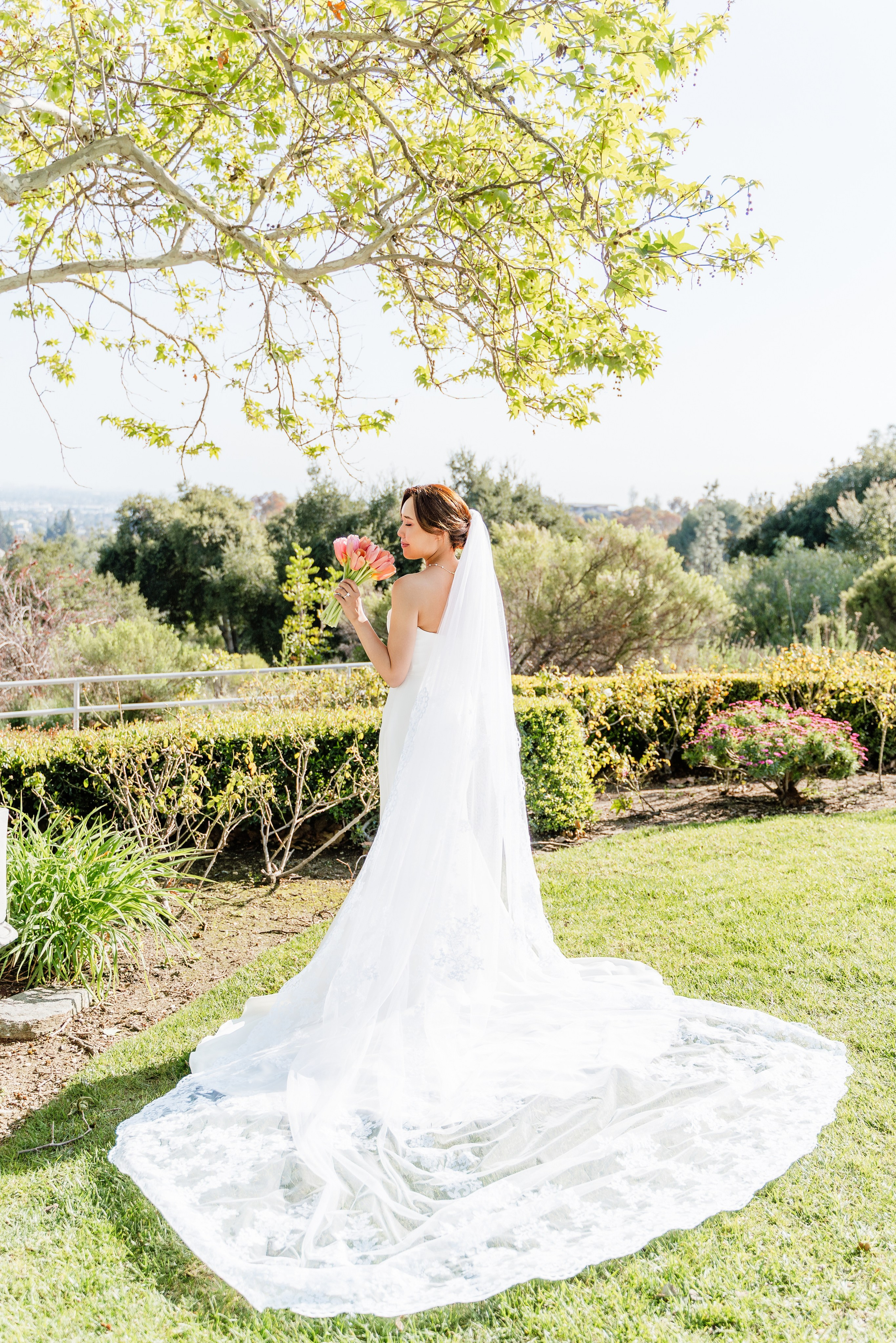 Daniel & Michelle Wedding. Pixel Pie — Wedding Photography & Videography