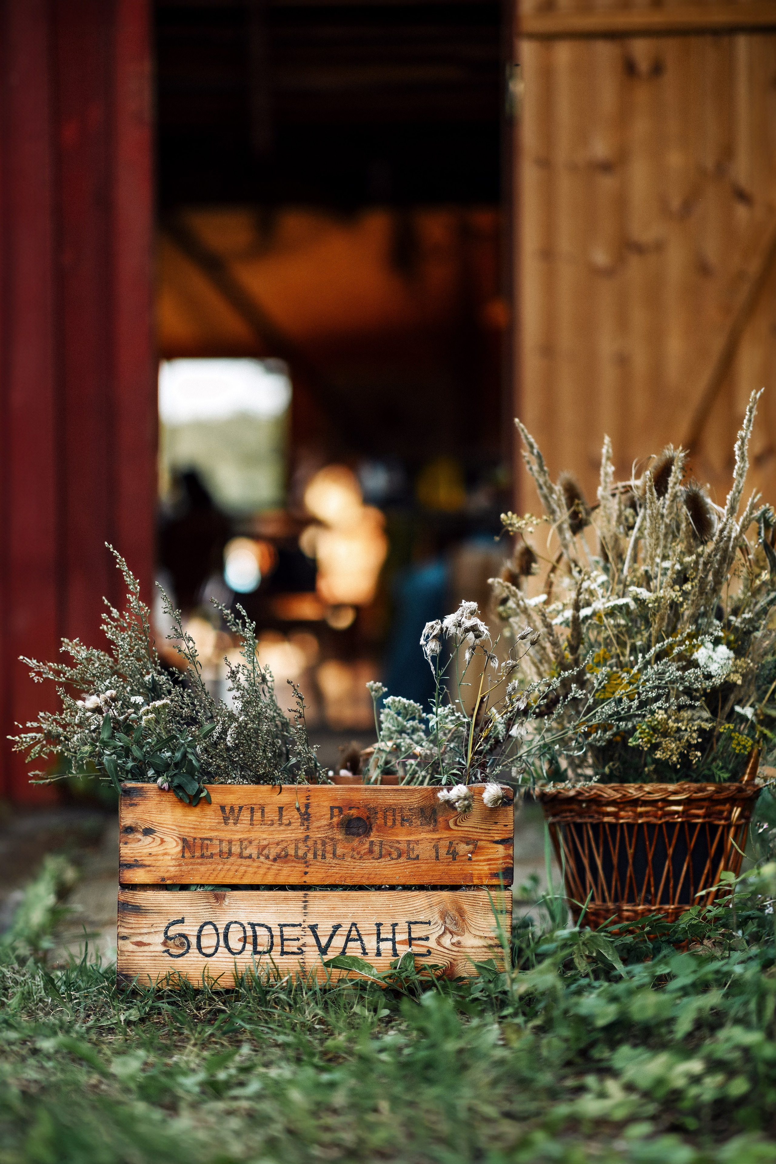 WS 1.0 Village Stories 18.08.2024. Portree- ja perefotograaf Anton Hansen Tallinnas, Eestis