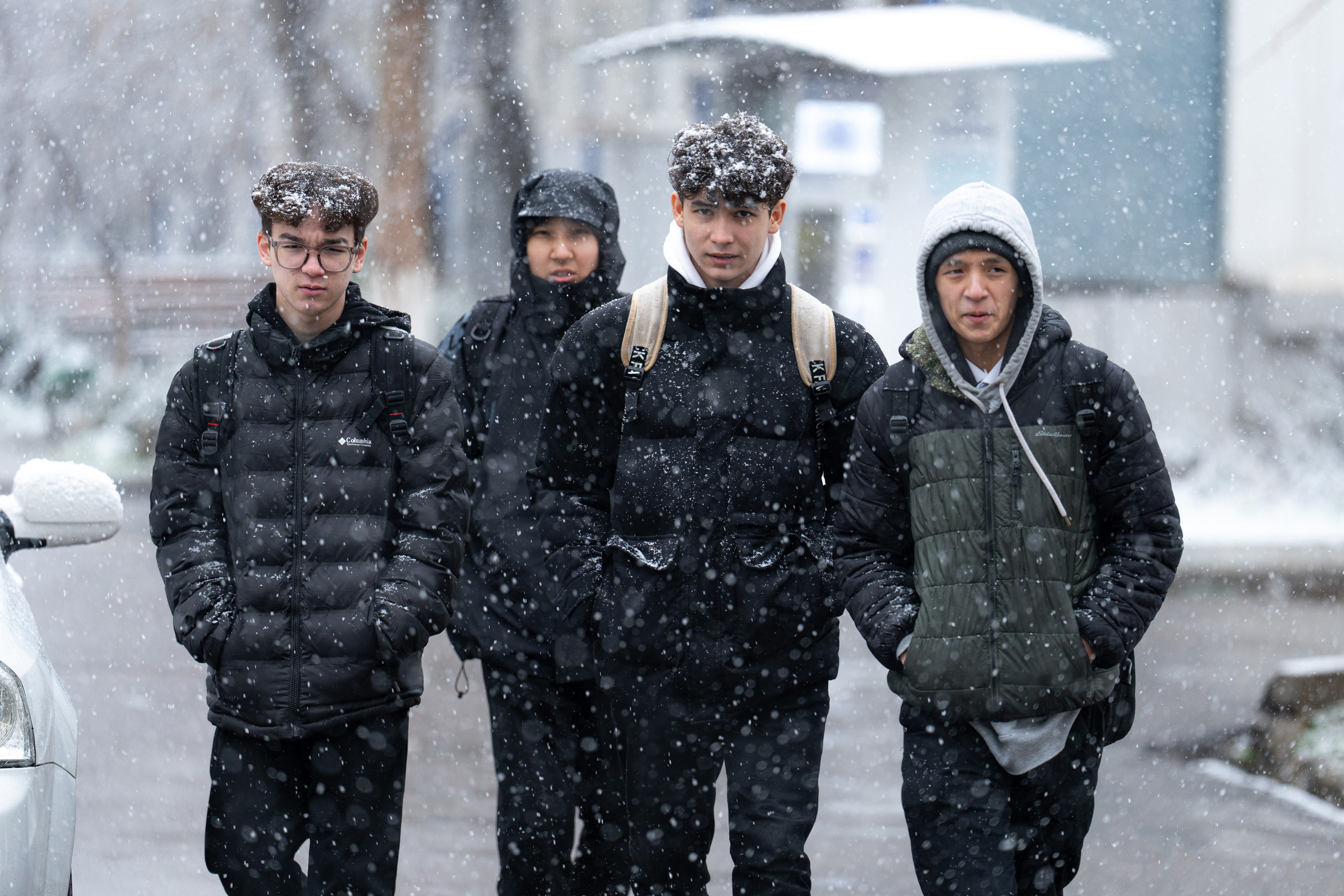 Первый снег в 2024 году. Георгий Намазов | Фотограф в Ташкенте