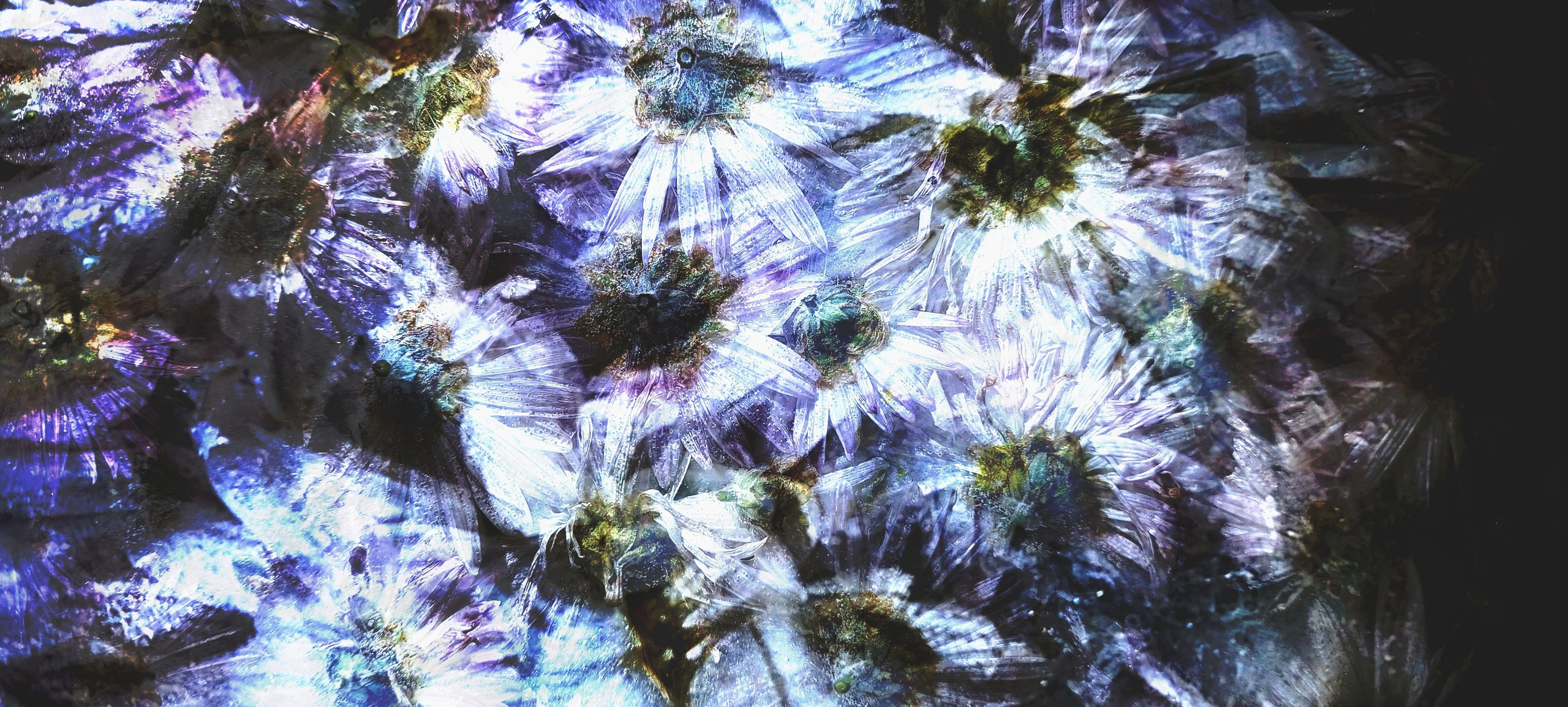 Продаж робіт. Photographer artist Liashenko Oksana