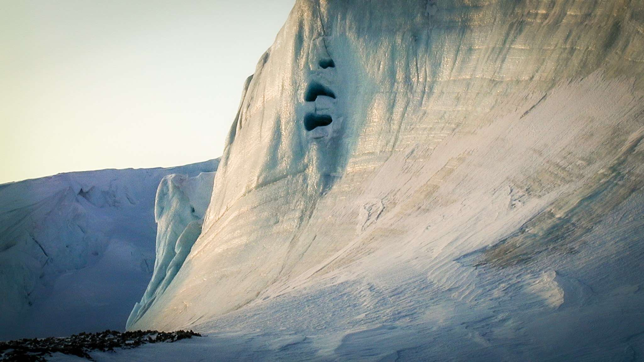 ANTARCTICA / 2004. Reportage concert portrait photography in the San Francisco Bay Area