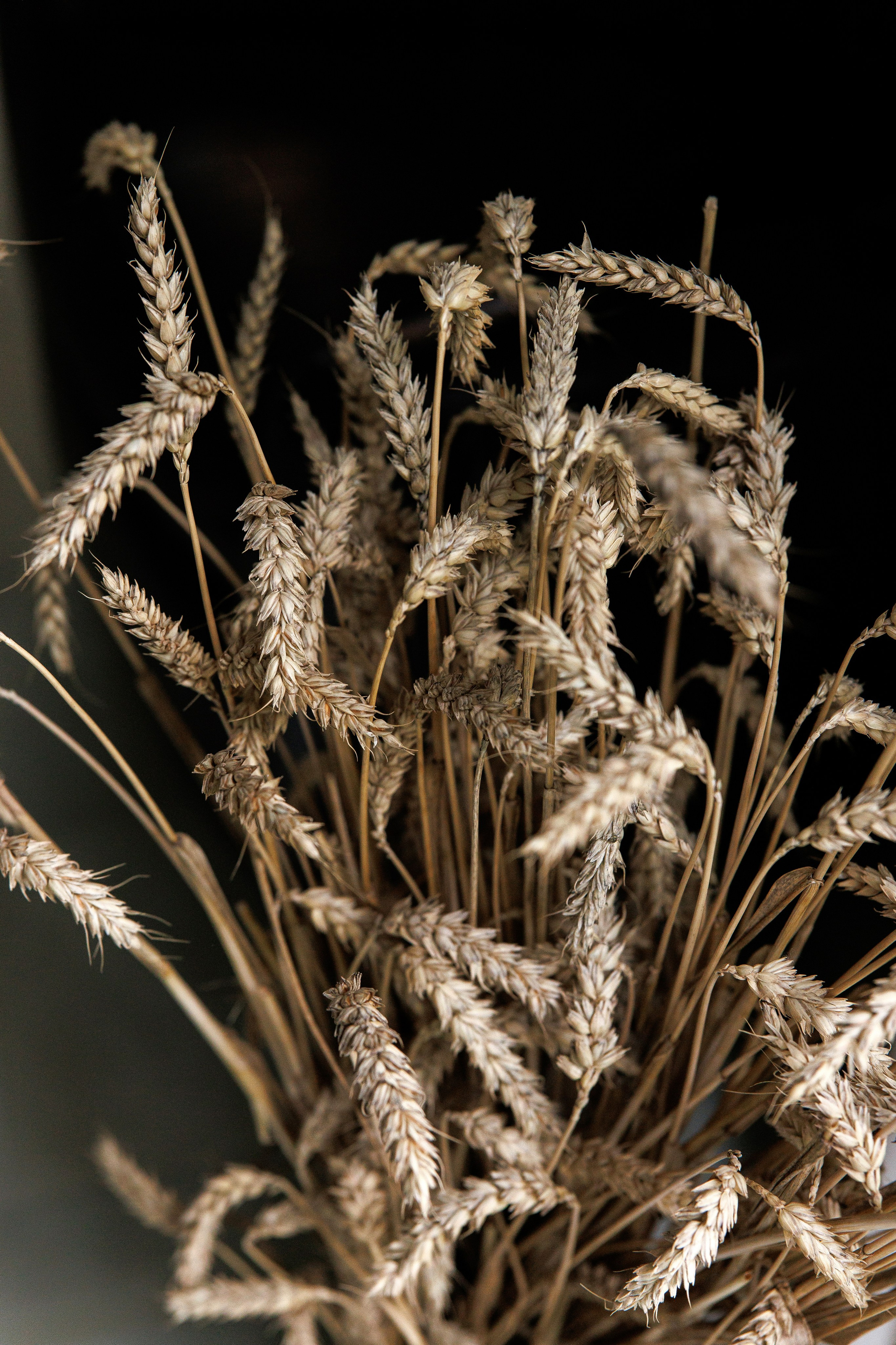 I&I. Oaza Lencze. 29.09.2025. Fotograf ślubny i rodzinny w Krakowie Yana Klymova