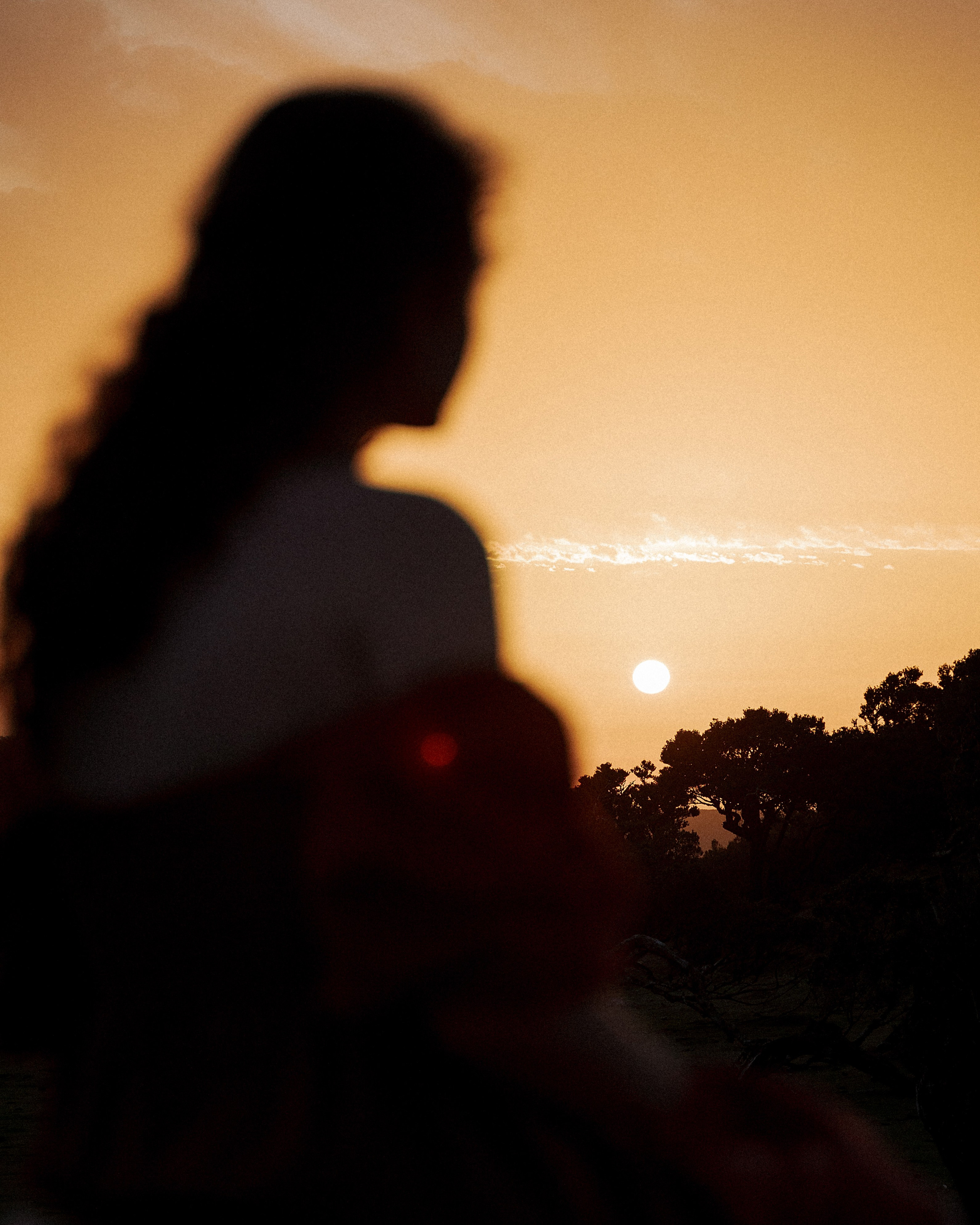 Maternity Photoshoot, Fanal Forest Sunset | Madeira Photographer. Your photographer in Madeira