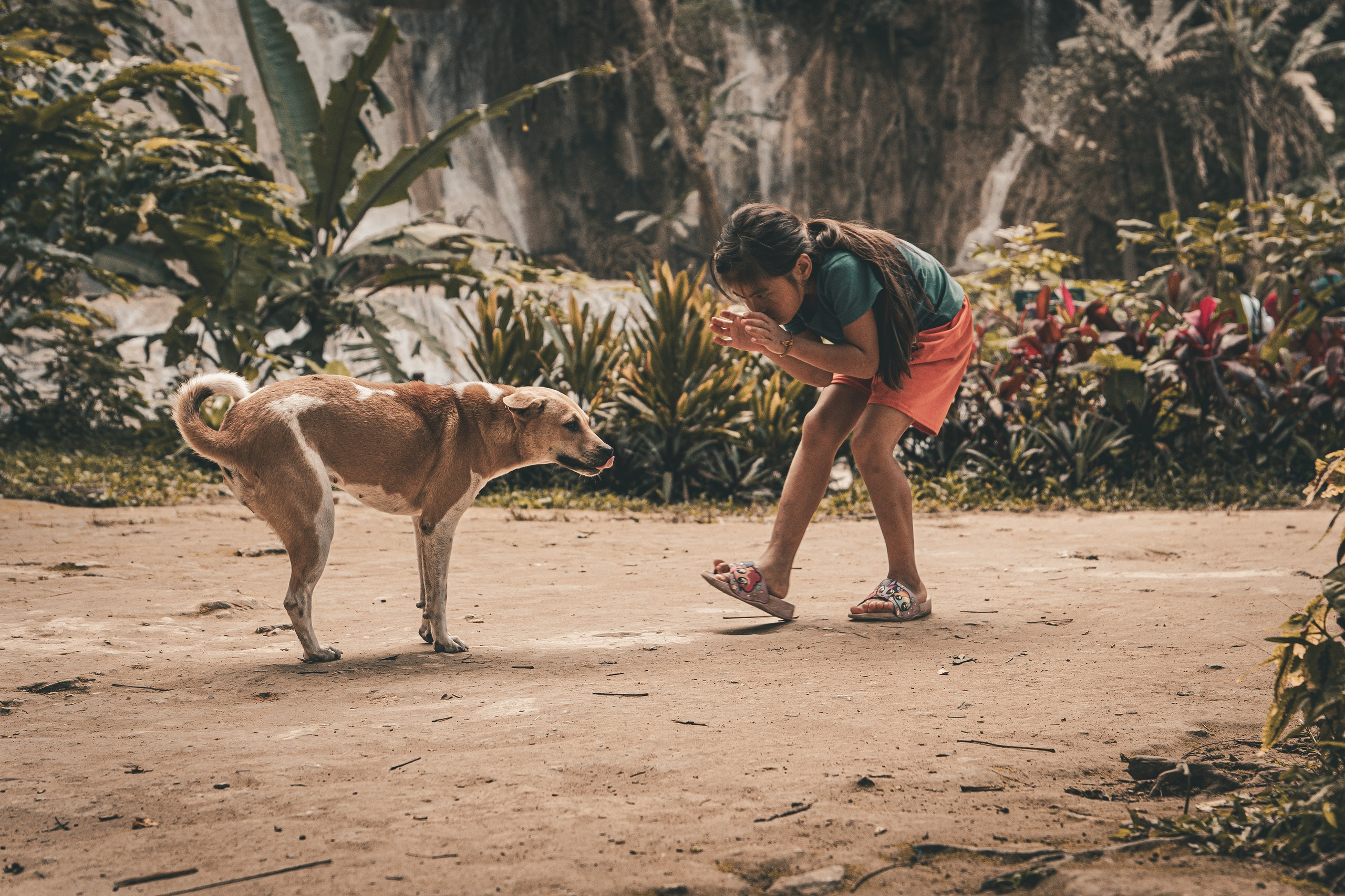 Лаос 2023. Art and outdoor photography