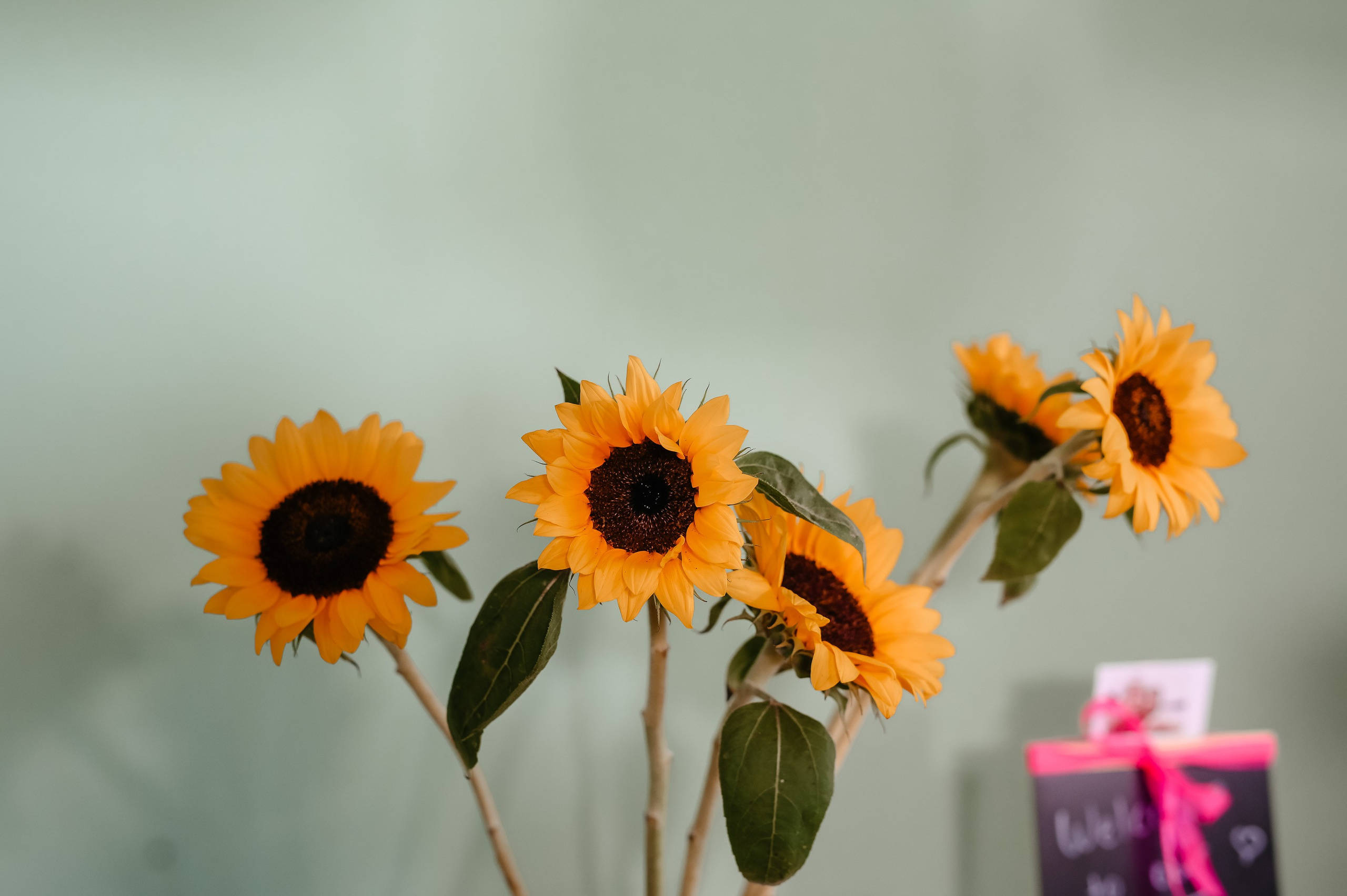 Wedding E & I. AdrianOltean.wfolio.pro