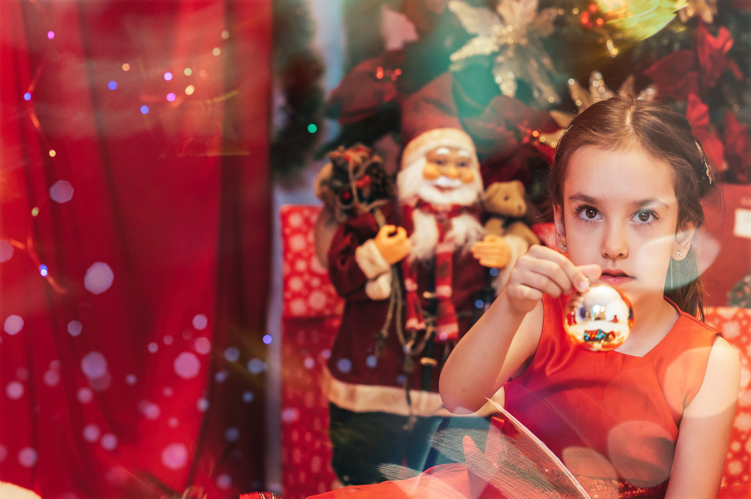 Sedinta Craciun Sofia