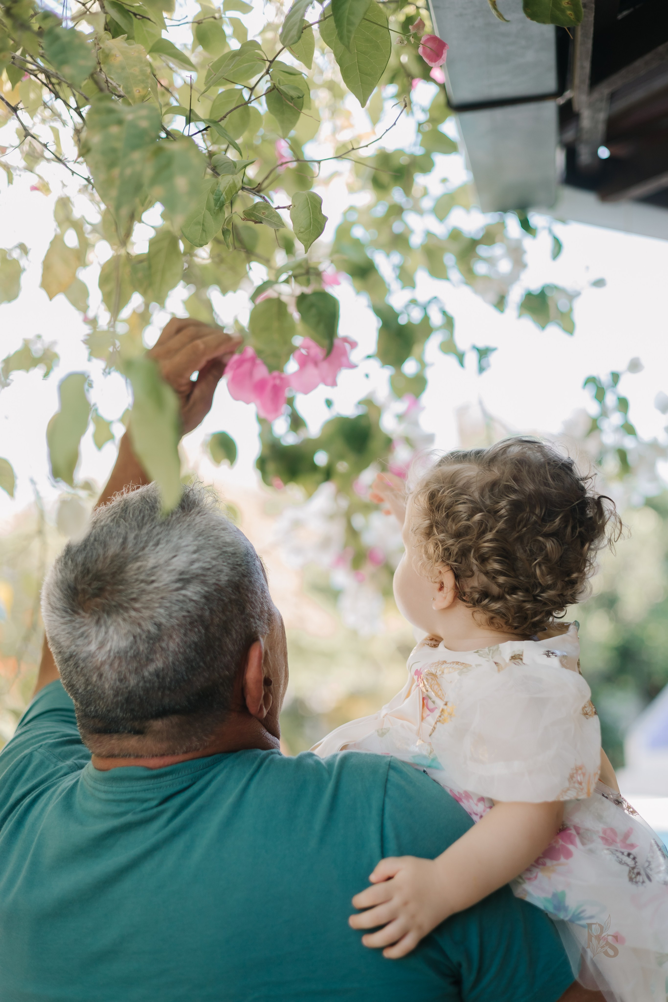 Aurora — 1 ano. Fotógrafo Richard Silvestre — Casamentos na Bahia