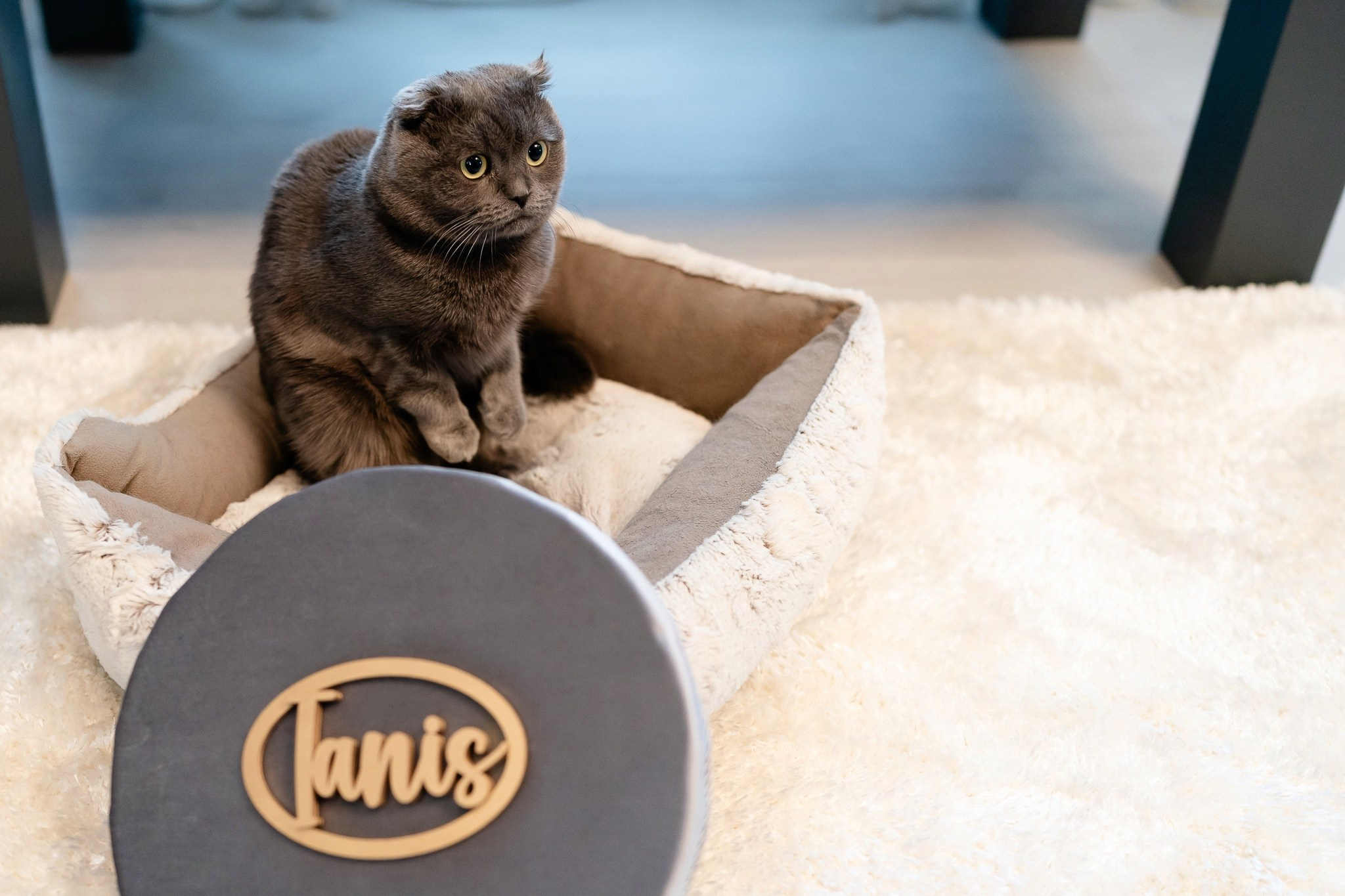 Botezul micutului Ianis