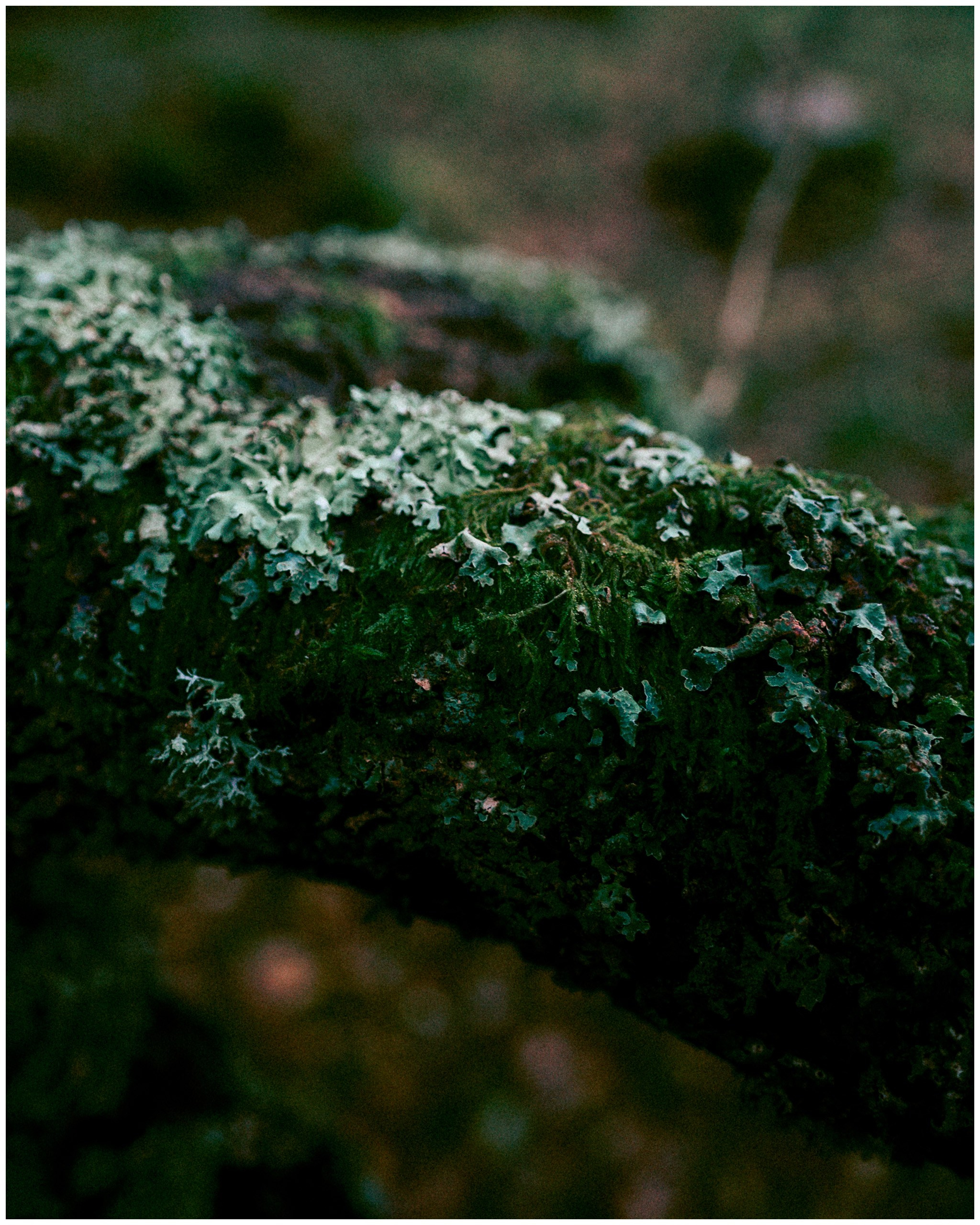 IRELAND. Inna Mendelson — Photographer