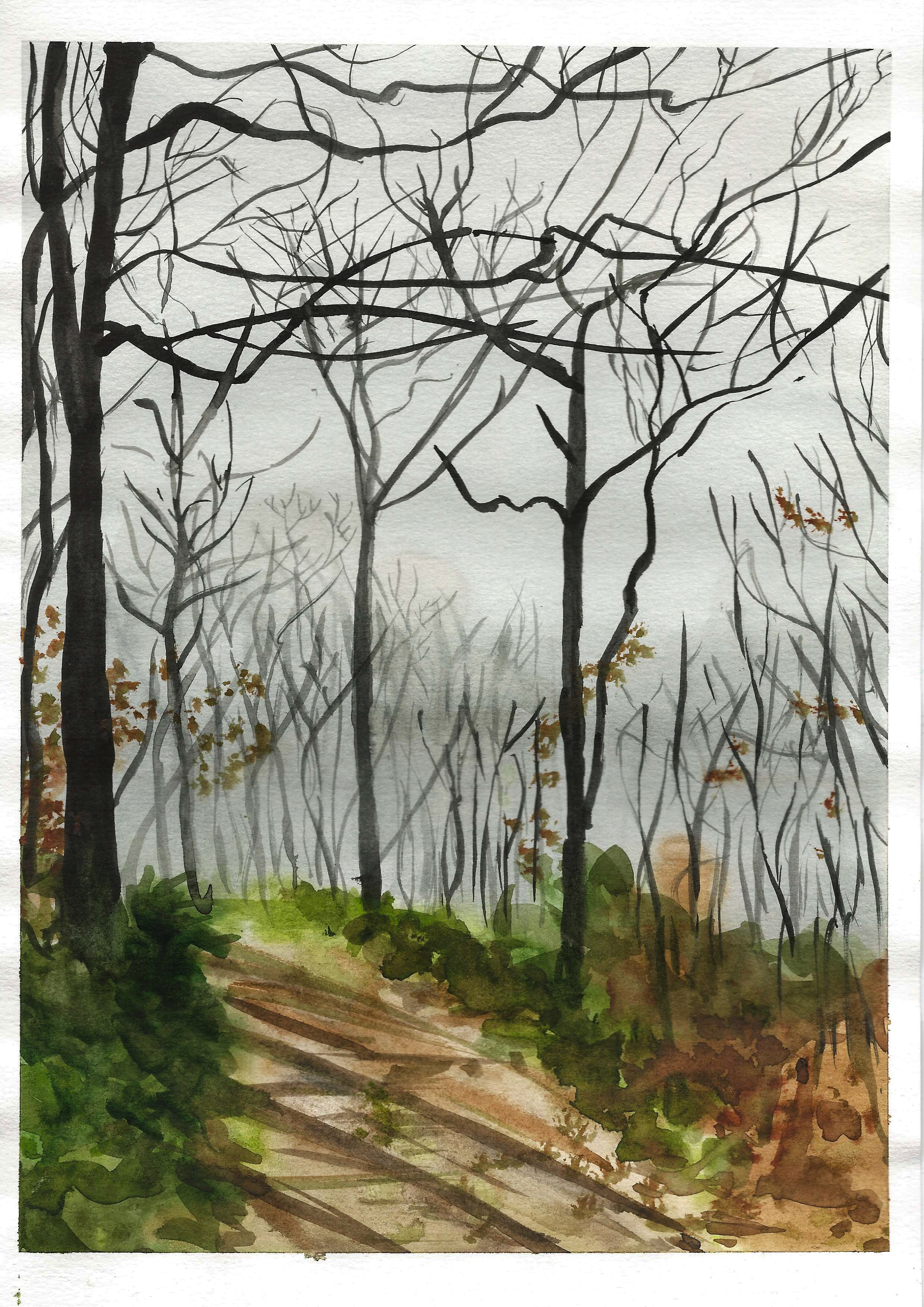 Nature landscapes. Angelina Sorokopud. Artist in Strasbourg