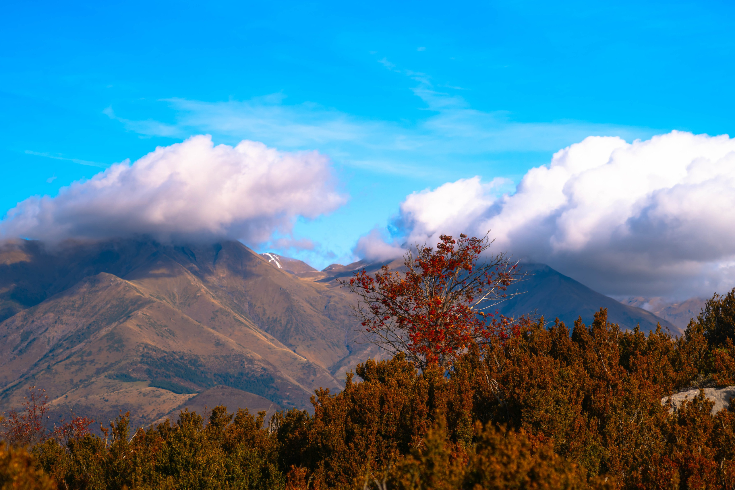 Ruta Otoño. Alba del Norte Studio