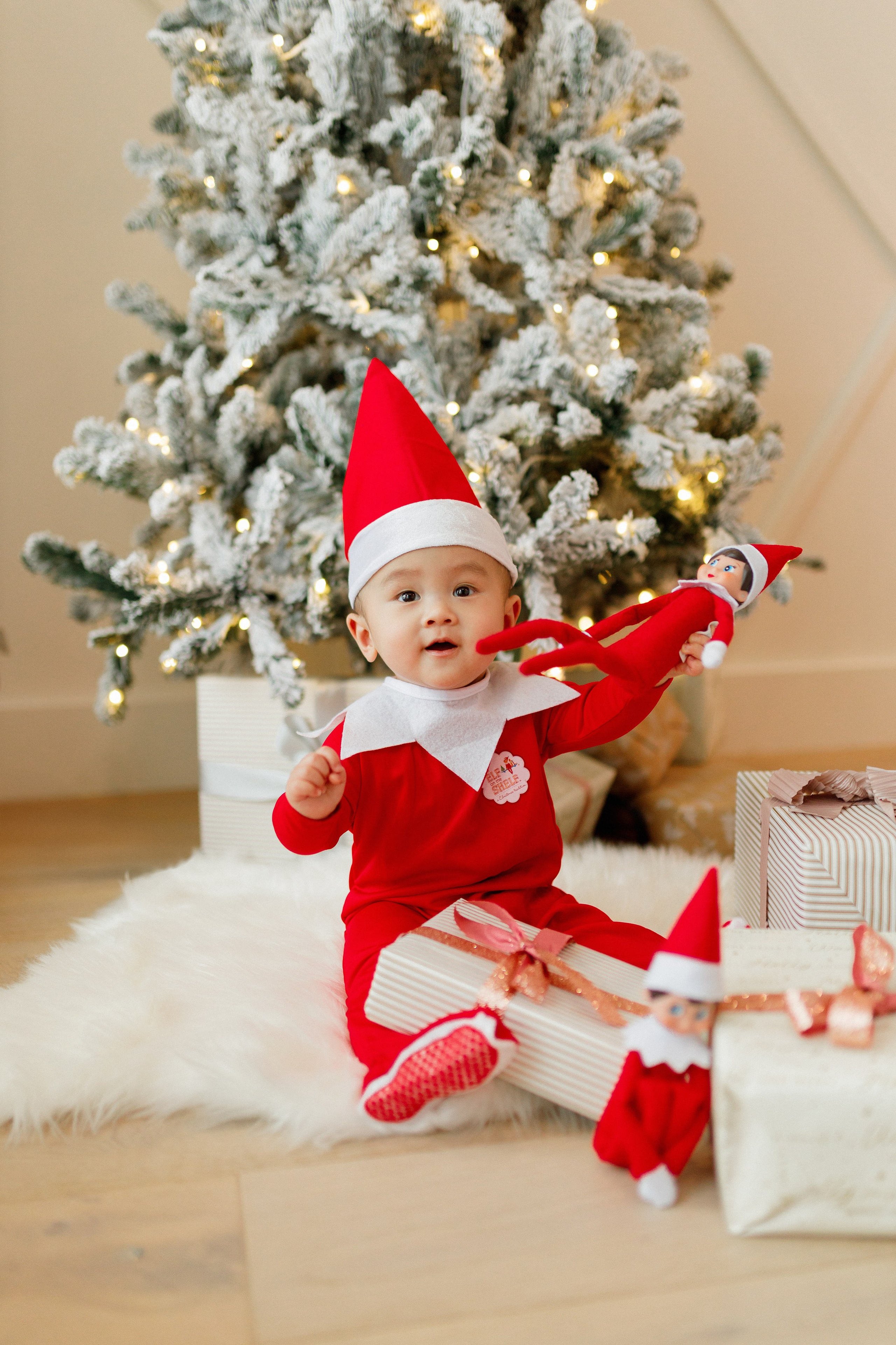 Christmas minis 2025. Home