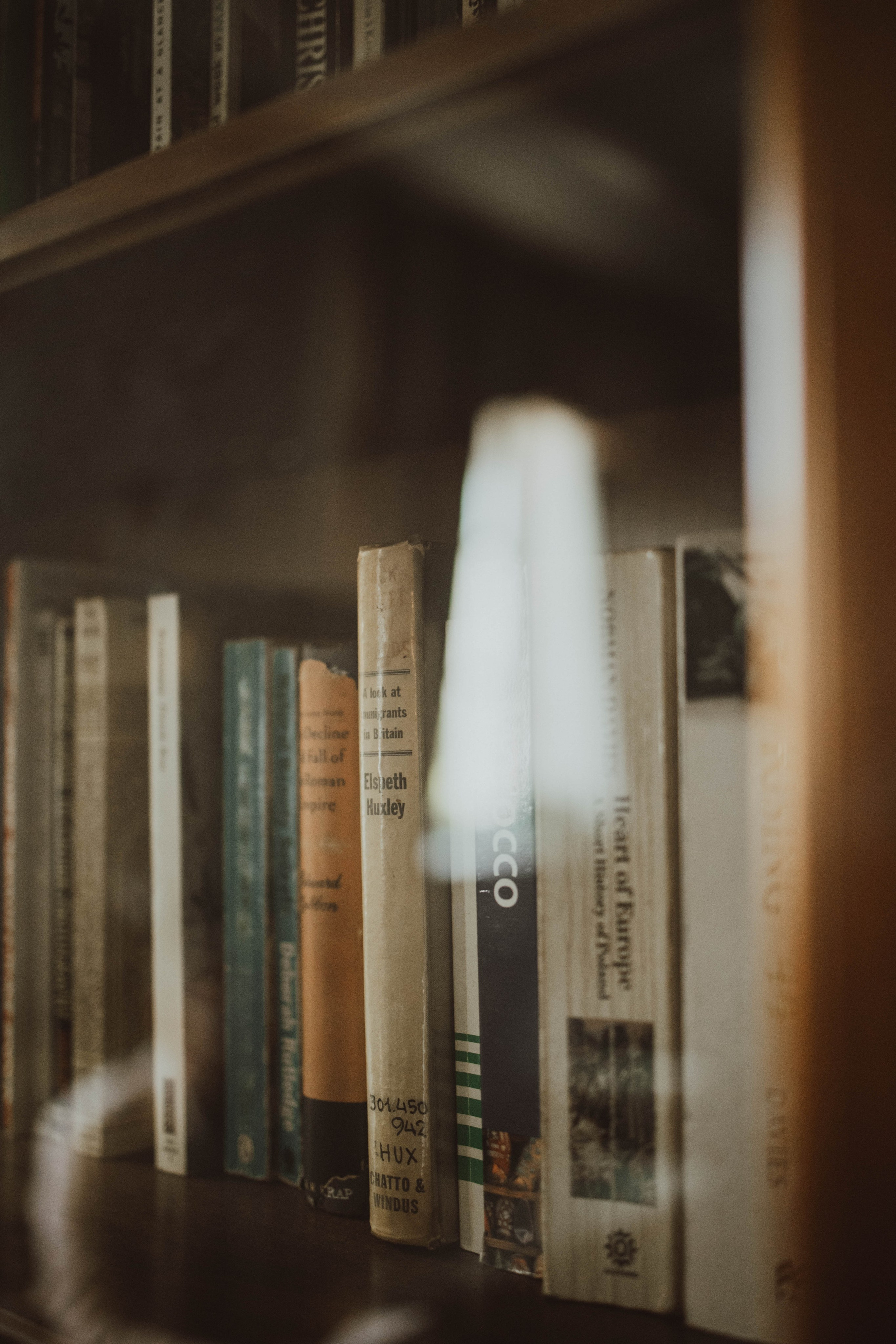 JULIA DAWID. Fotograf Mykhalchuk Inna Kraków