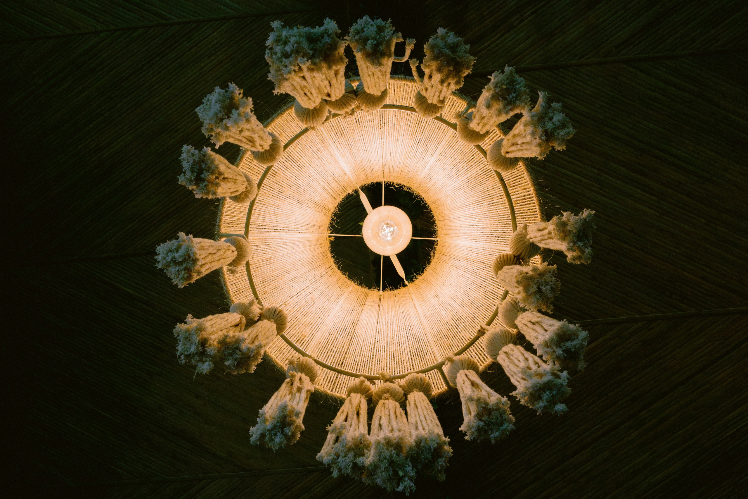 Wedding America y Alex