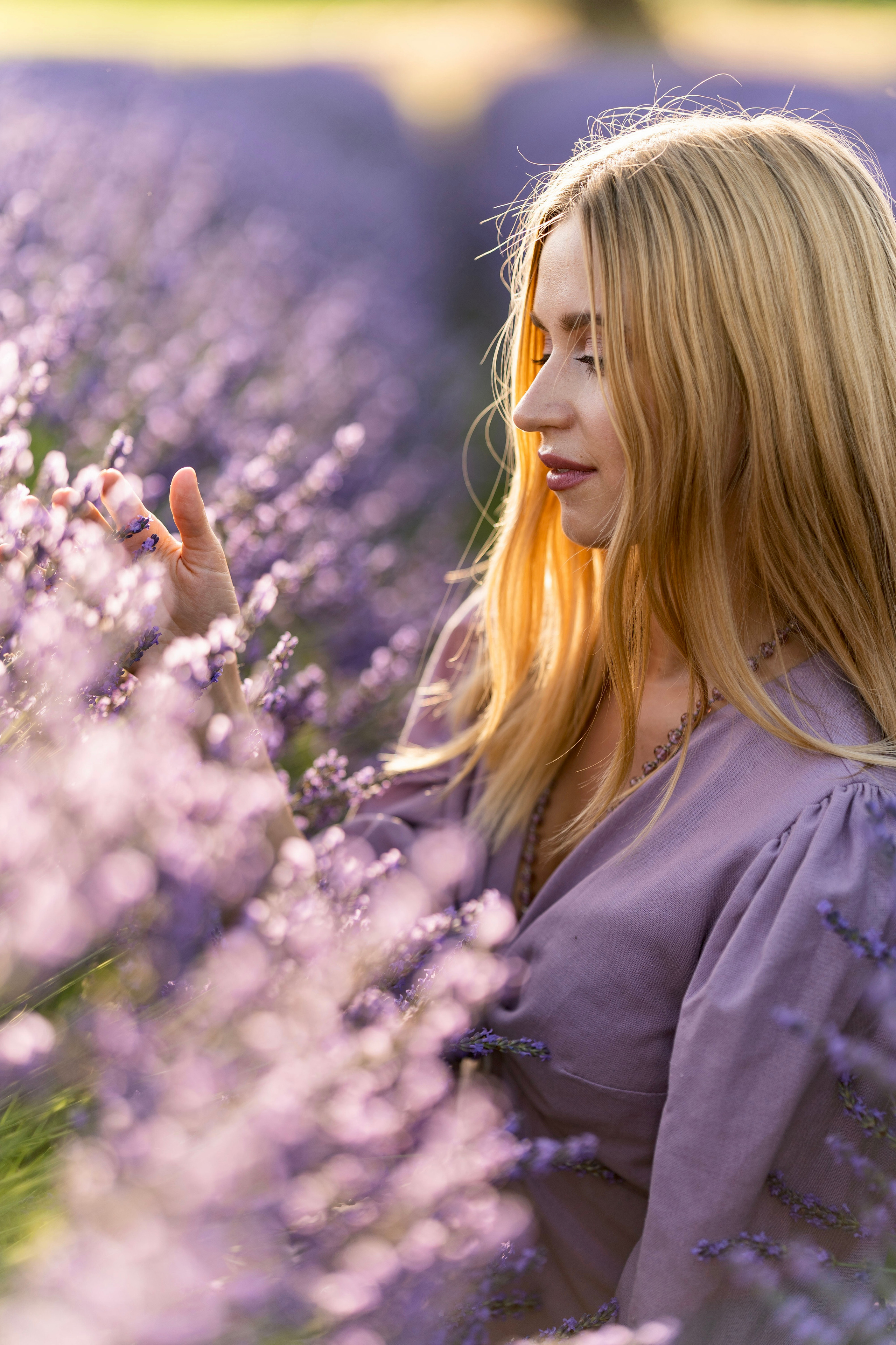 Lavender. Wedding photographer Natalia