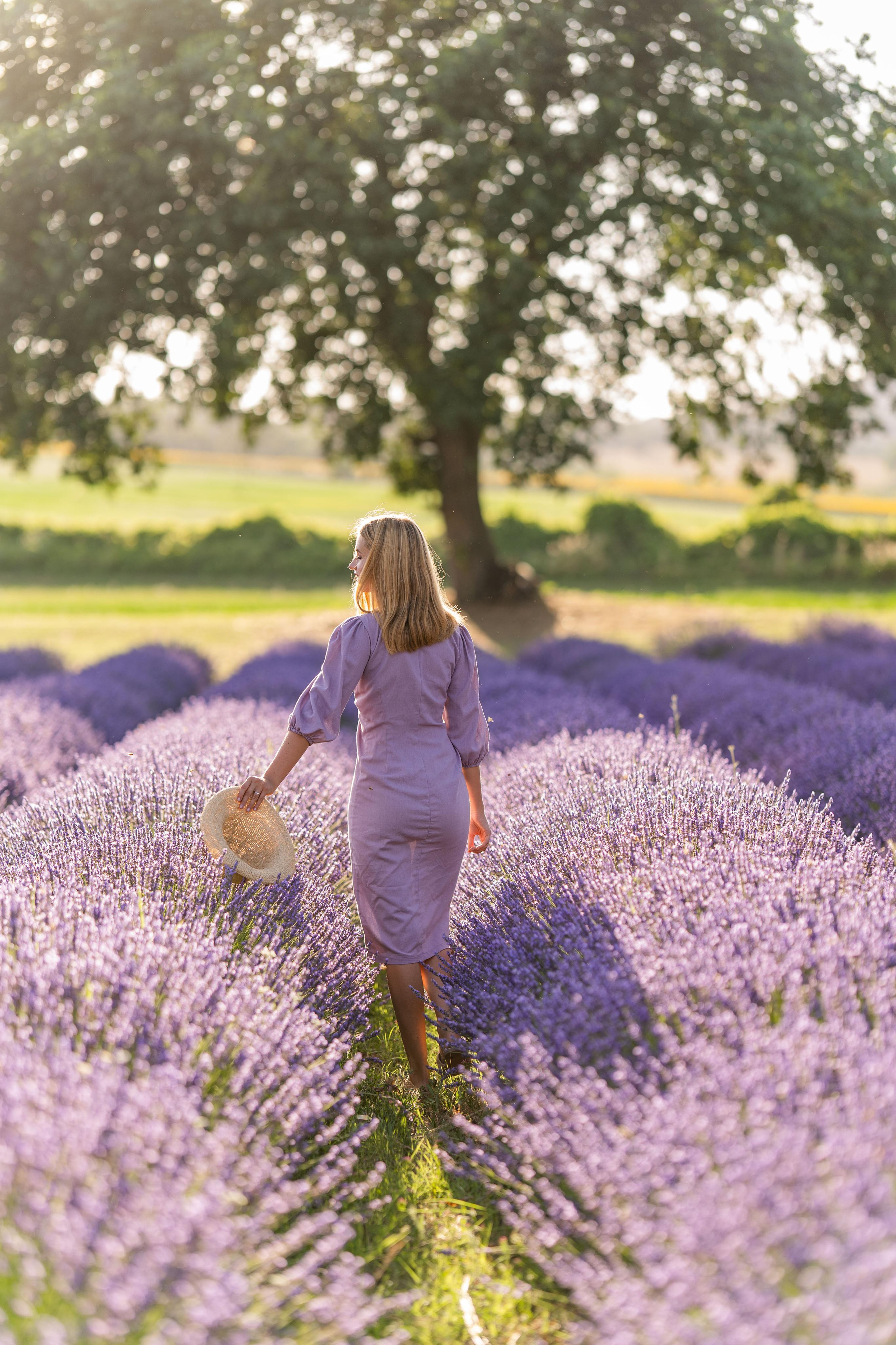 Lavender. Wedding photographer Natalia