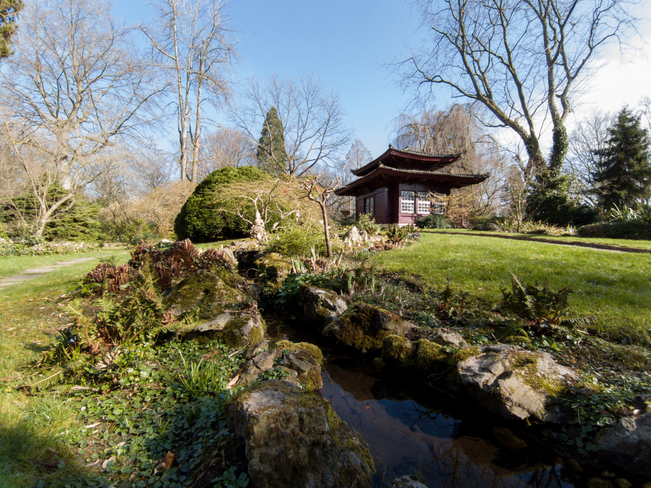 Cologne (Germany) Leverkusen. Fotograf in Köln, Bonn, Düsseldorf, Krefeld