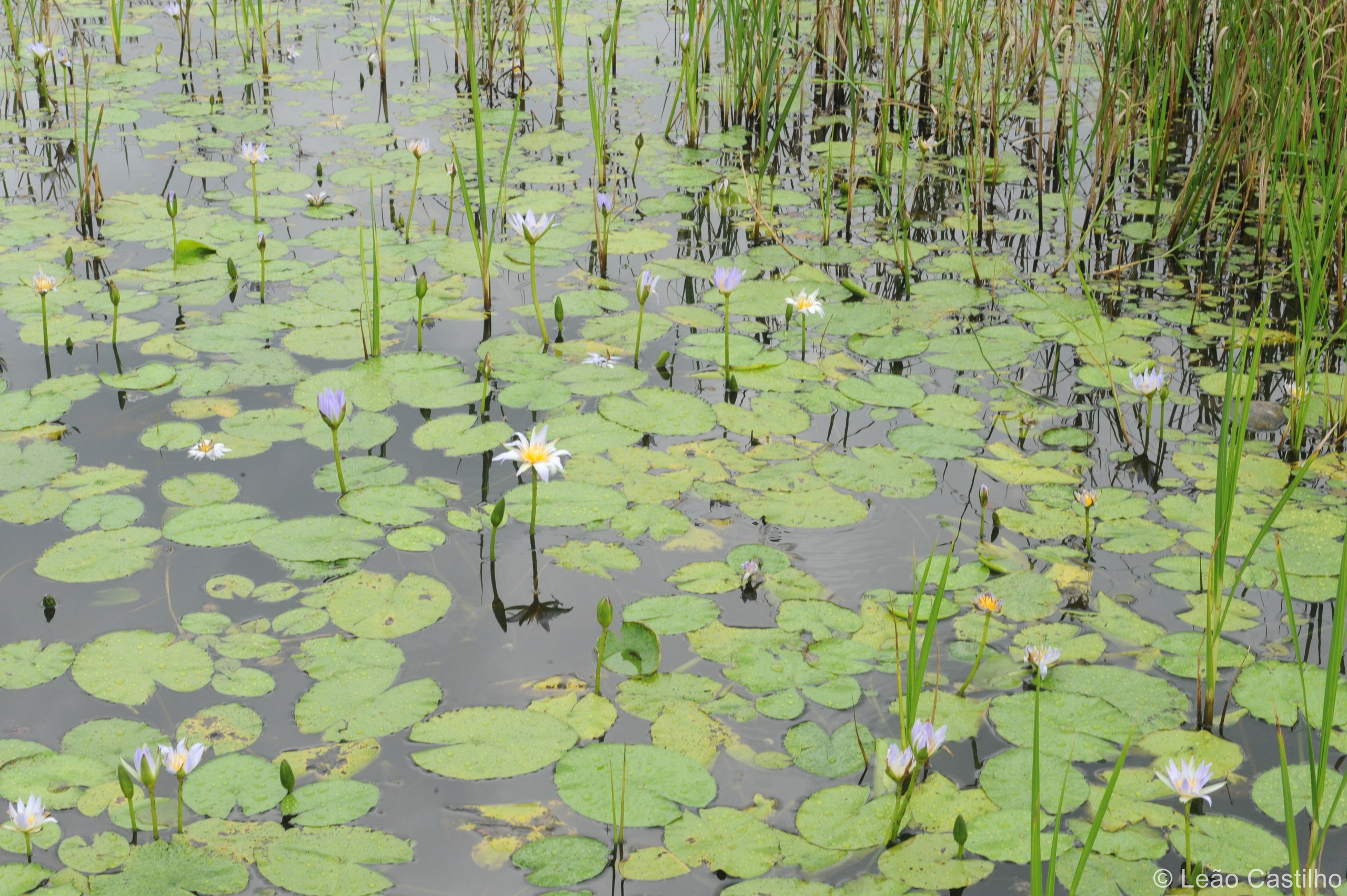 Photos from Mozambique. Simbahalu