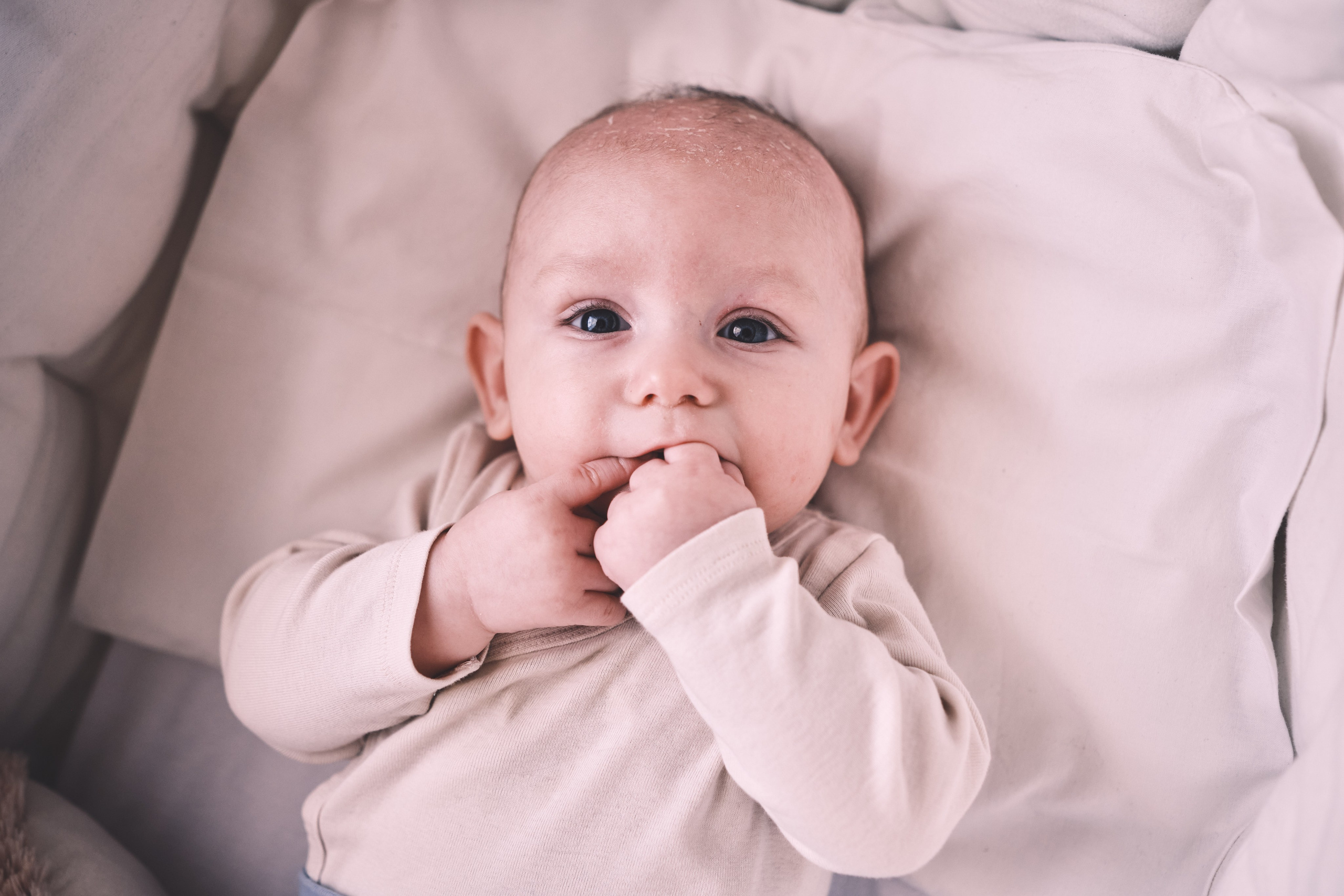 Events photography. Anghel’sPhoto