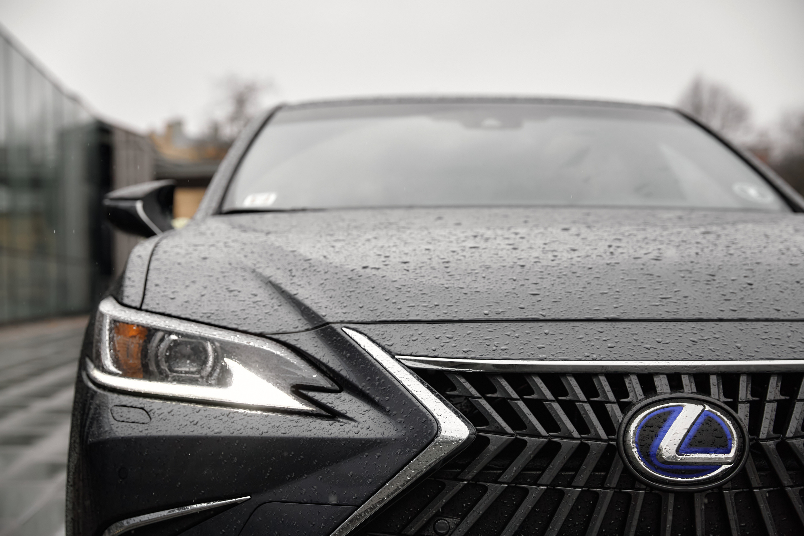 . Свадебный фотограф В Даугавпилсе Юрий Теплов