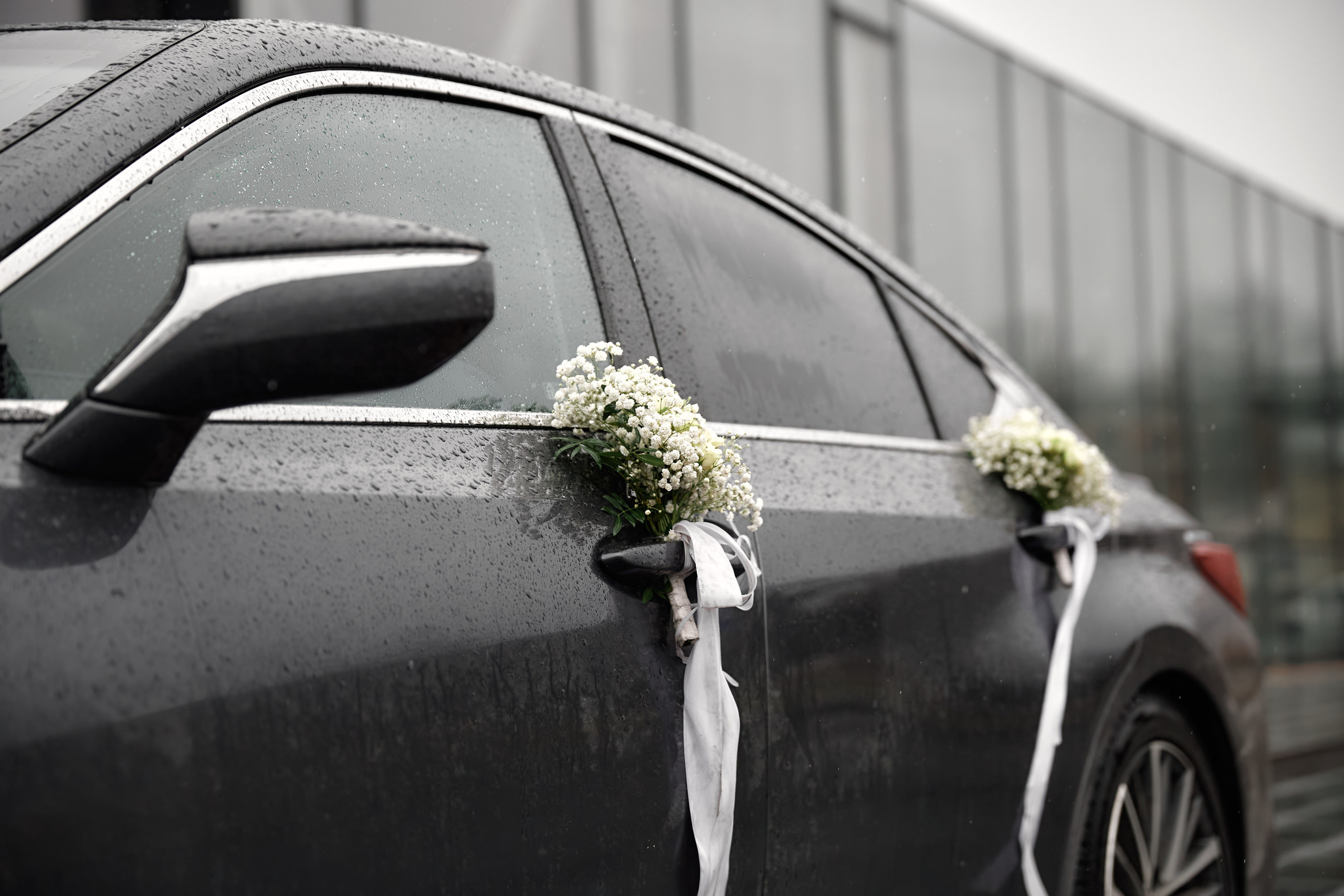 . Свадебный фотограф В Даугавпилсе Юрий Теплов