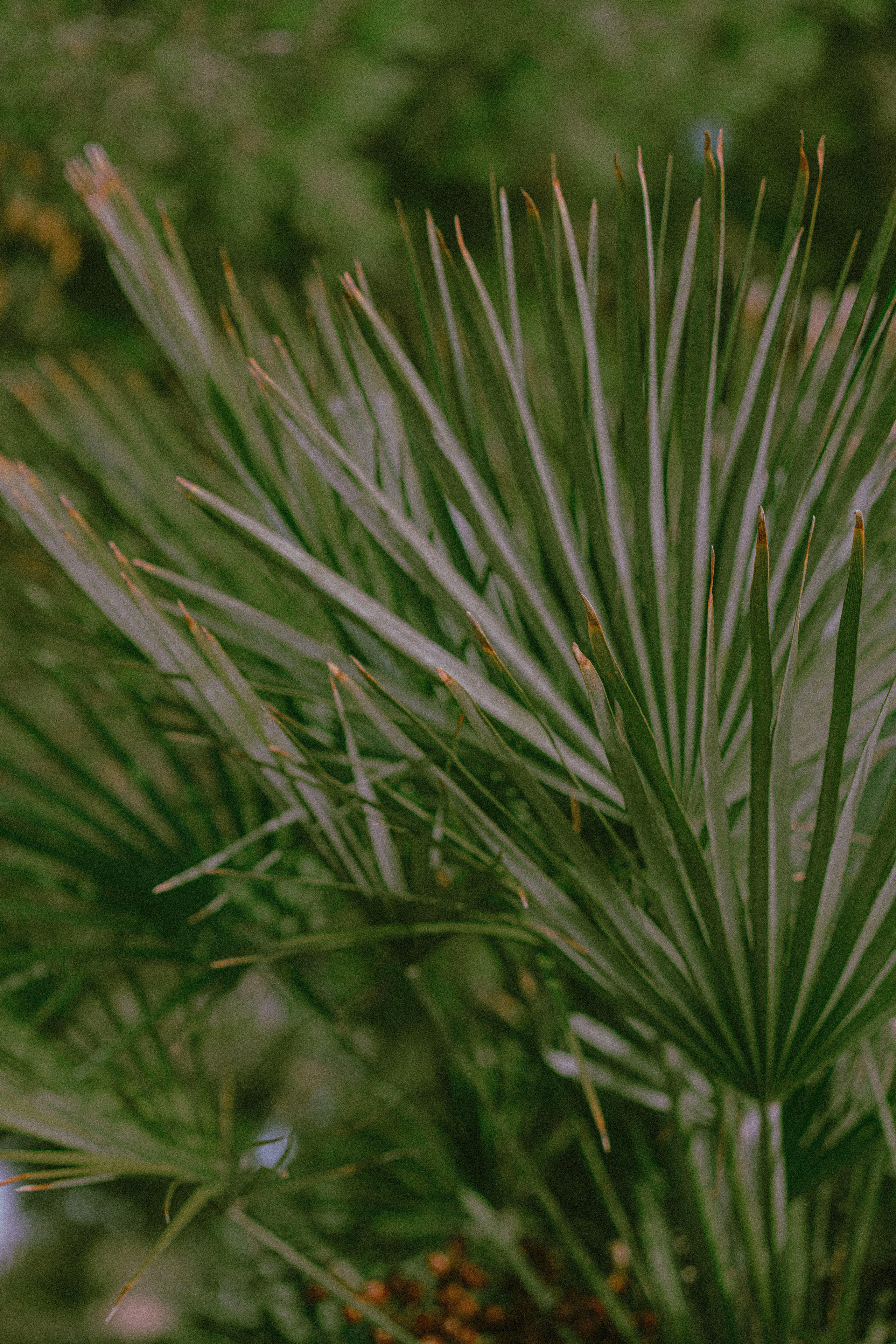 Travel. Portrait, lookbook and family photographer in Riga, LATVIA