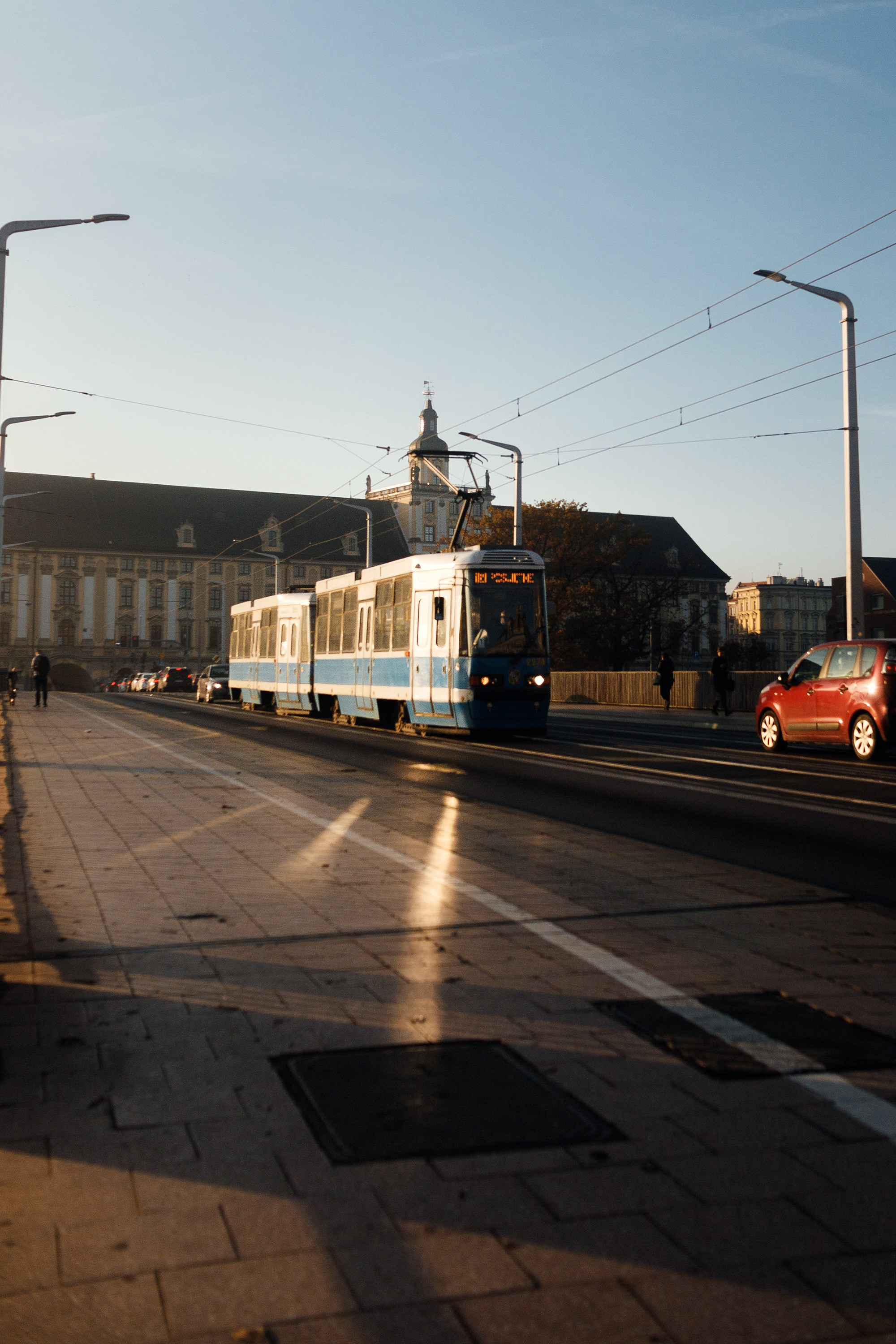 Wroclaw | the best ones. Kaja | fotograf psów we Wrocławiu
