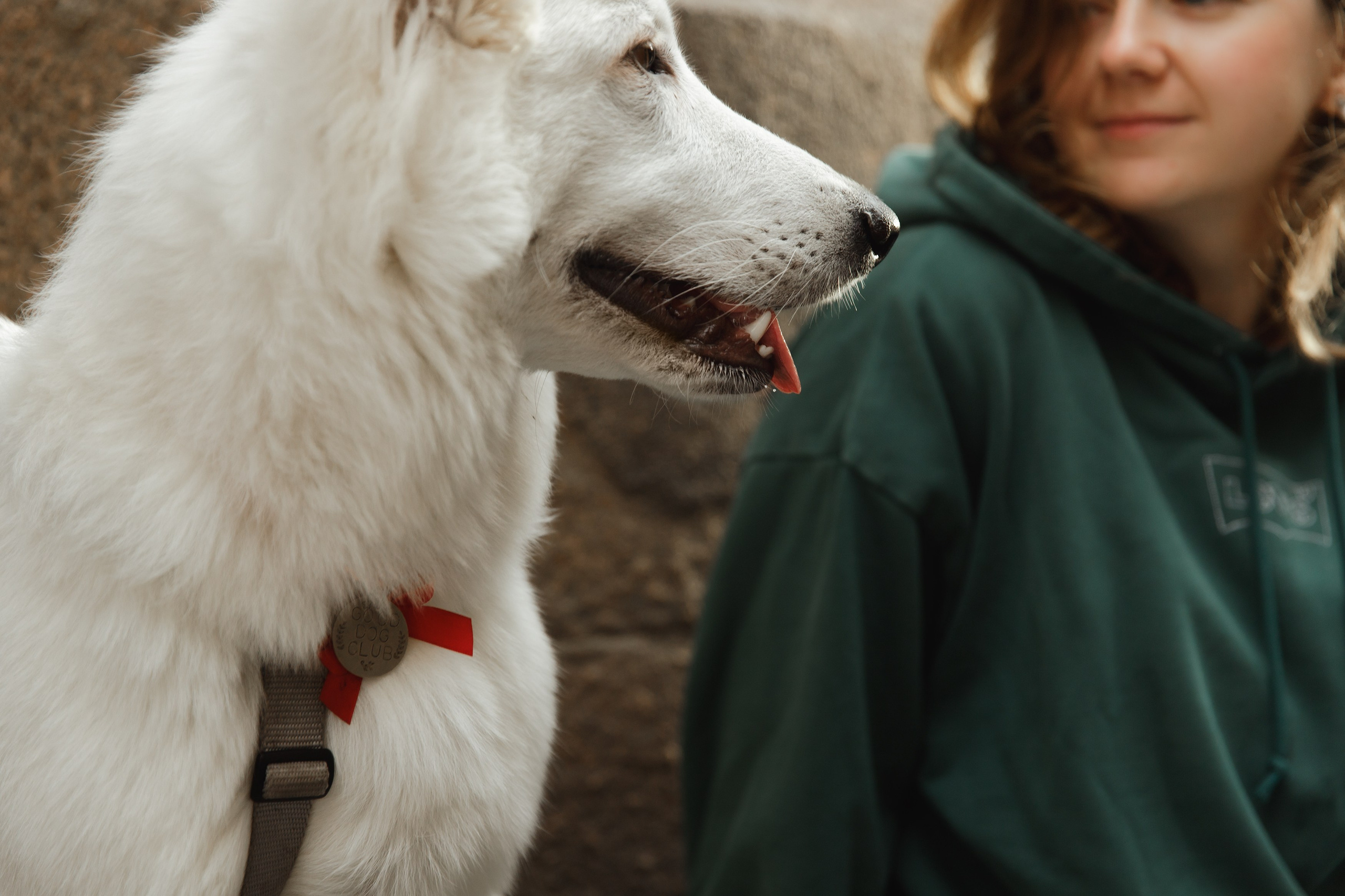Astra in Leipzig. Kaja | fotograf we Wrocławiu | ludzie i psy