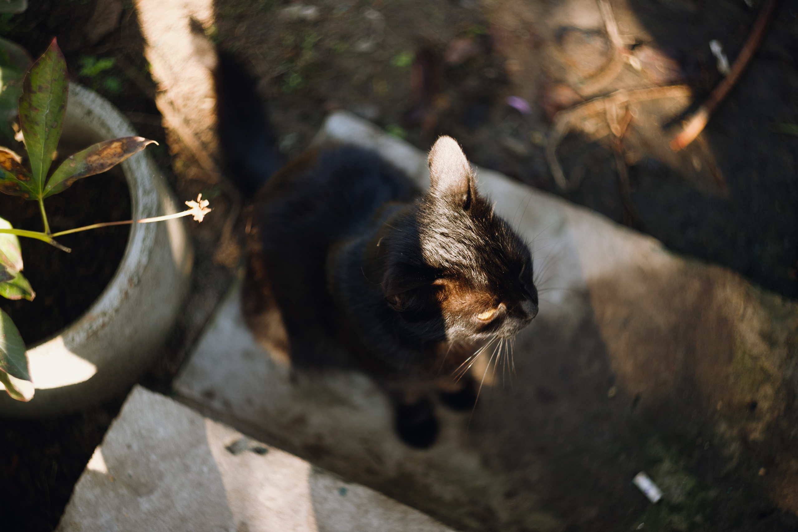 Grandmother's home in Brest. Kaja | fotograf we Wrocławiu | ludzie i psy