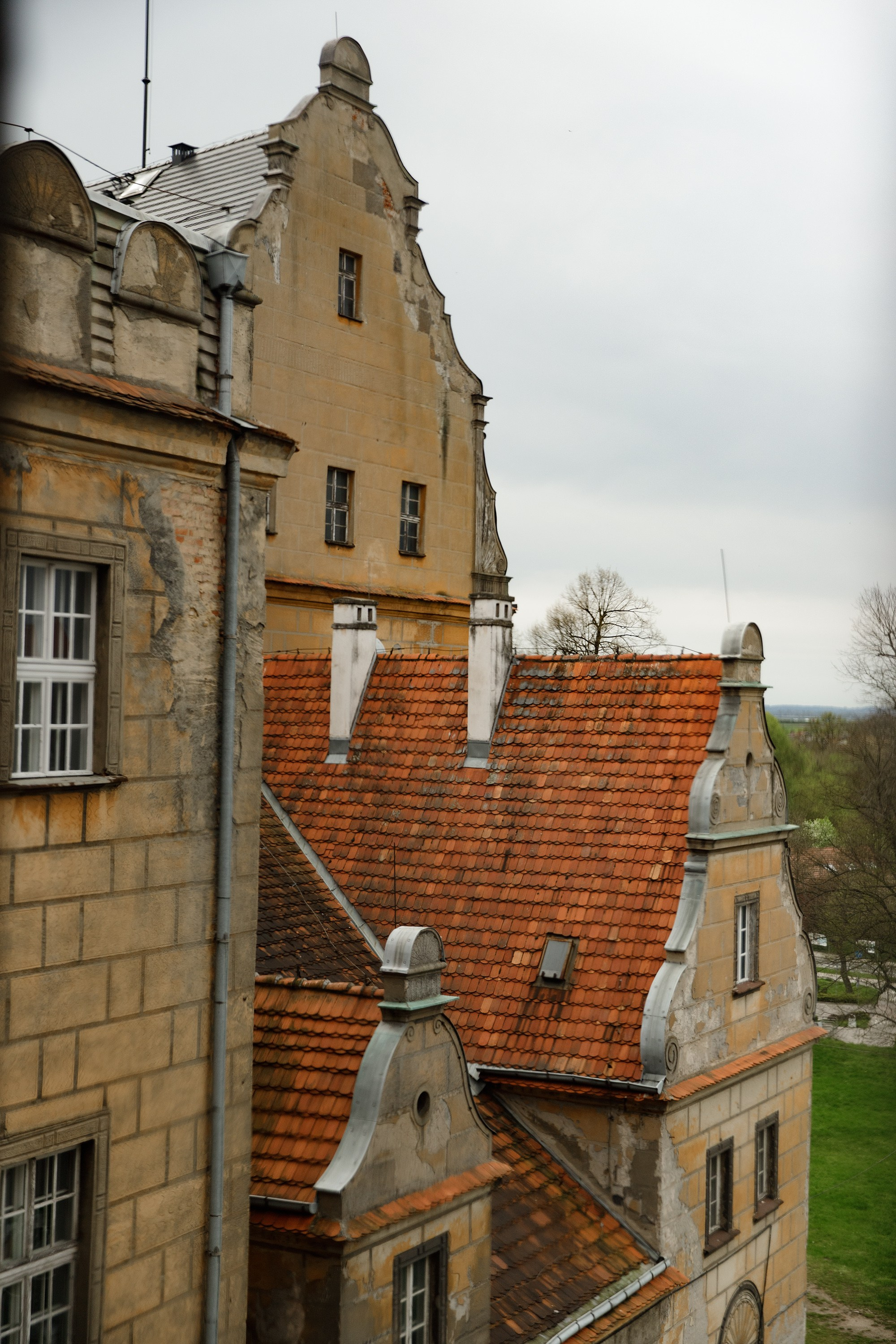 Oleśnica castle. Kaja | fotograf psów we Wrocławiu