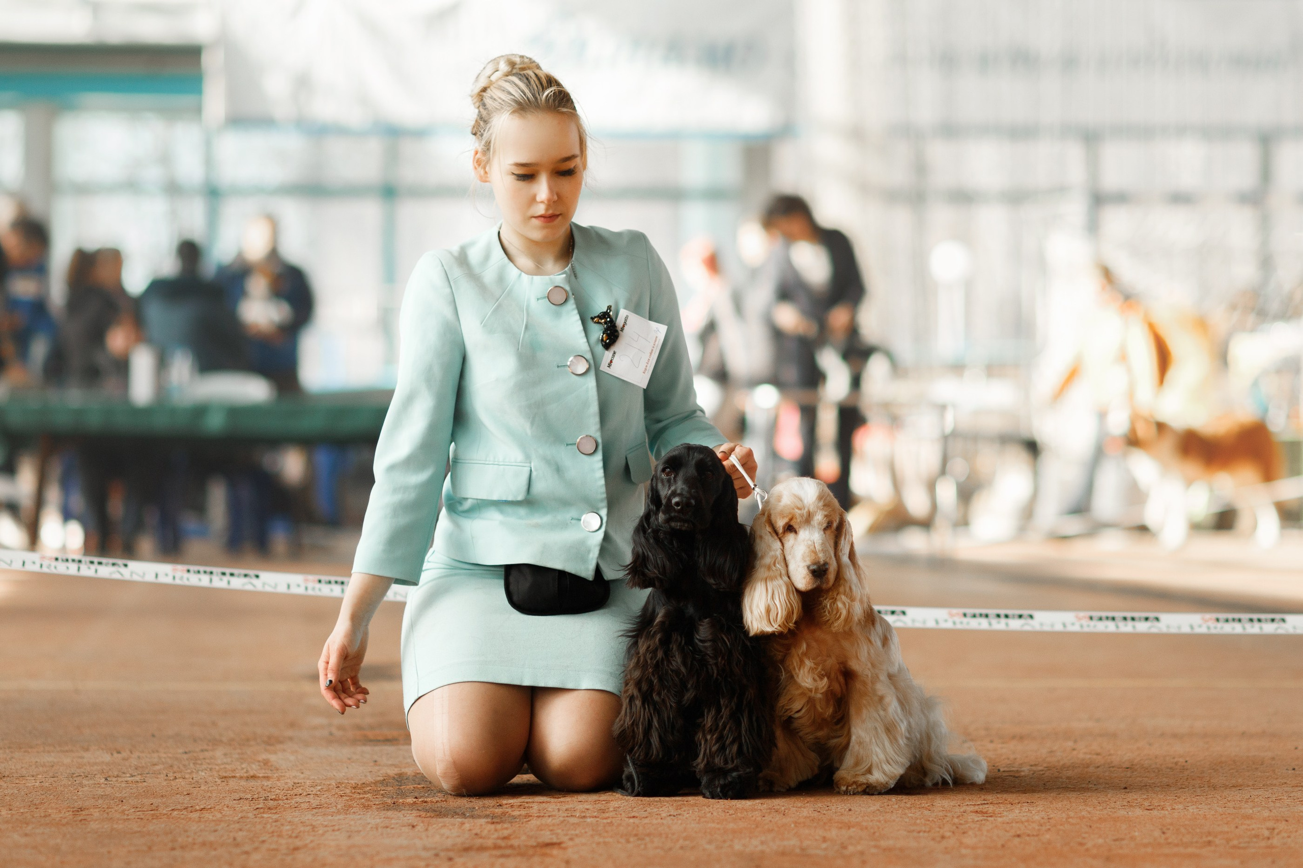 Dog shows | the best ones. Kaja | fotograf psów we Wrocławiu