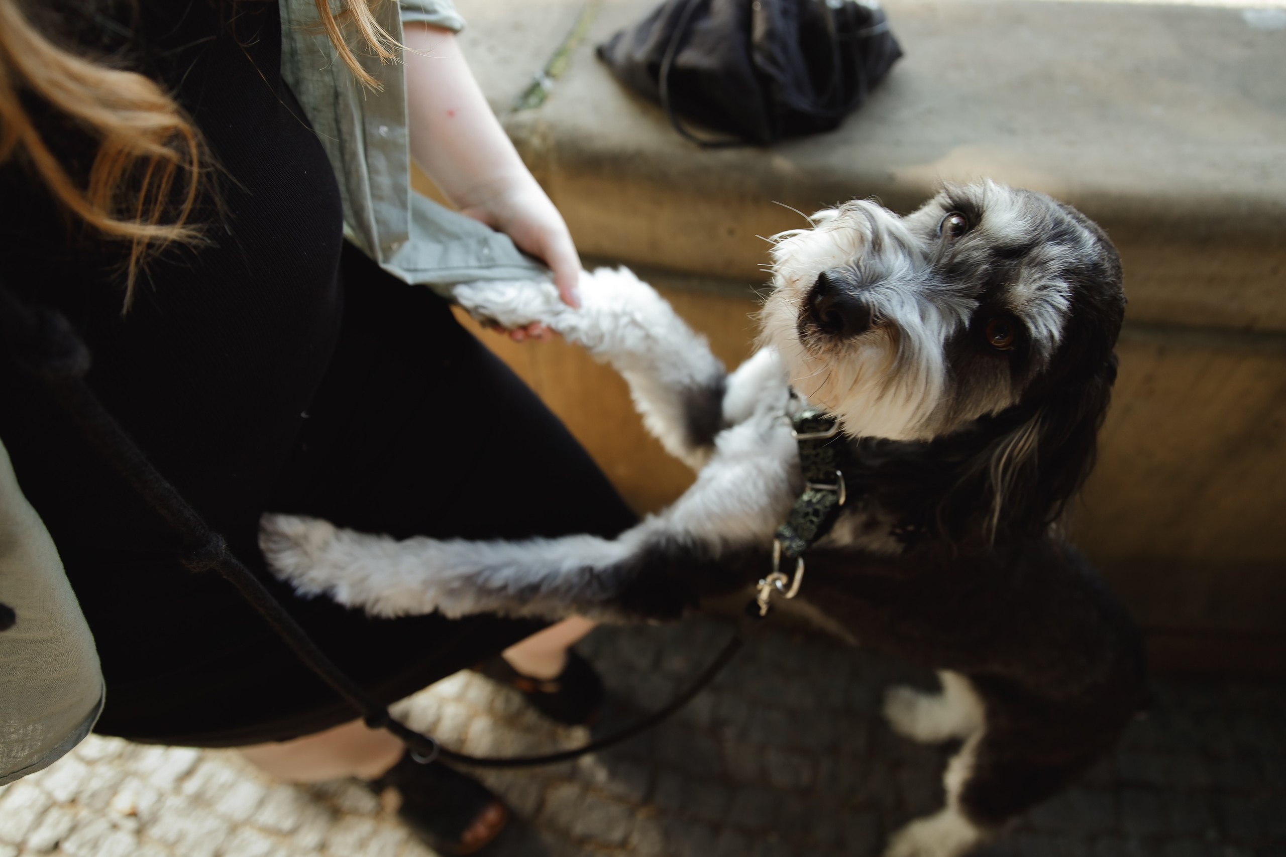 Lera & Flora. Kaja | fotograf we Wrocławiu | ludzie i psy
