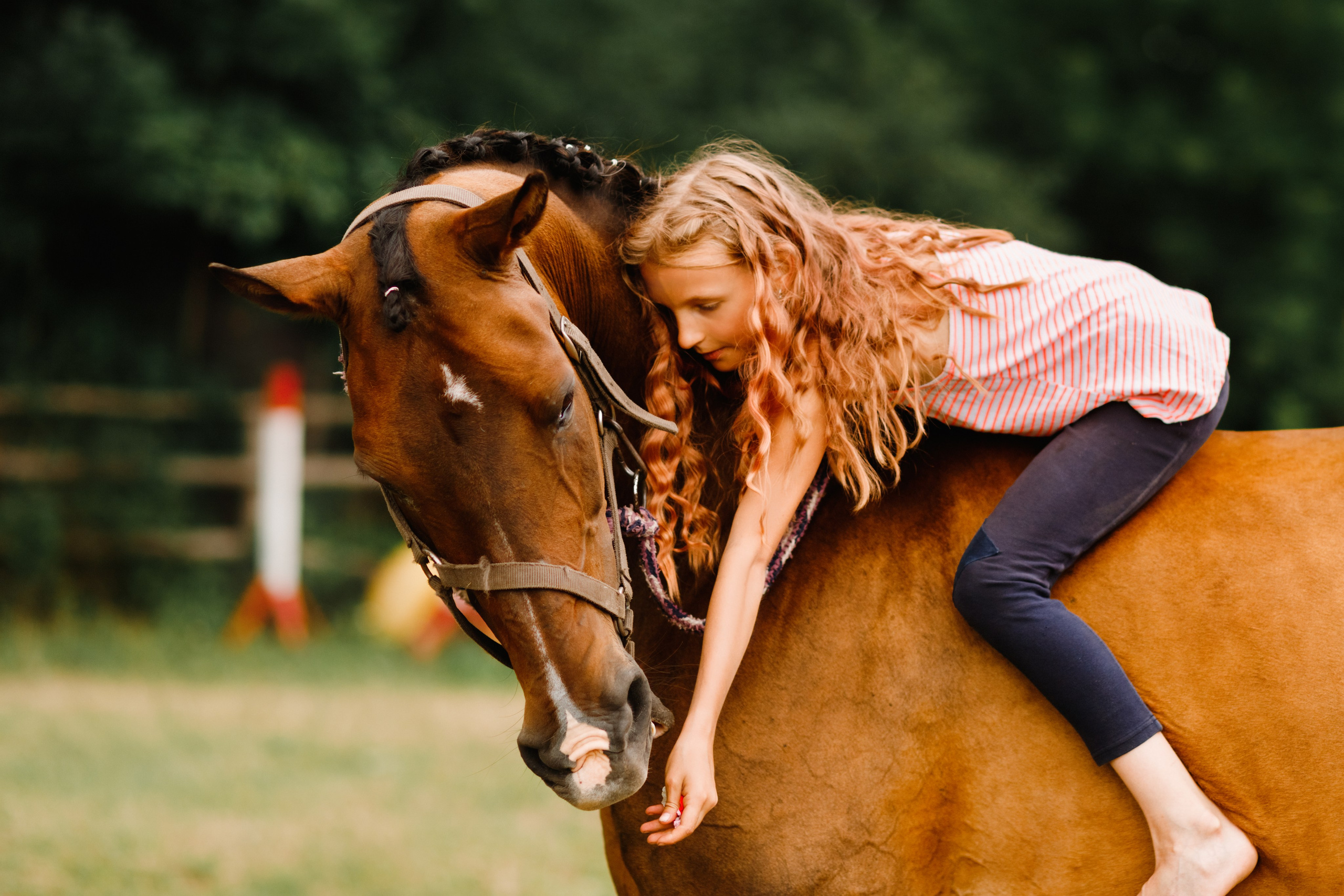 Girls & horses, summer. Kaja | fotograf psów we Wrocławiu