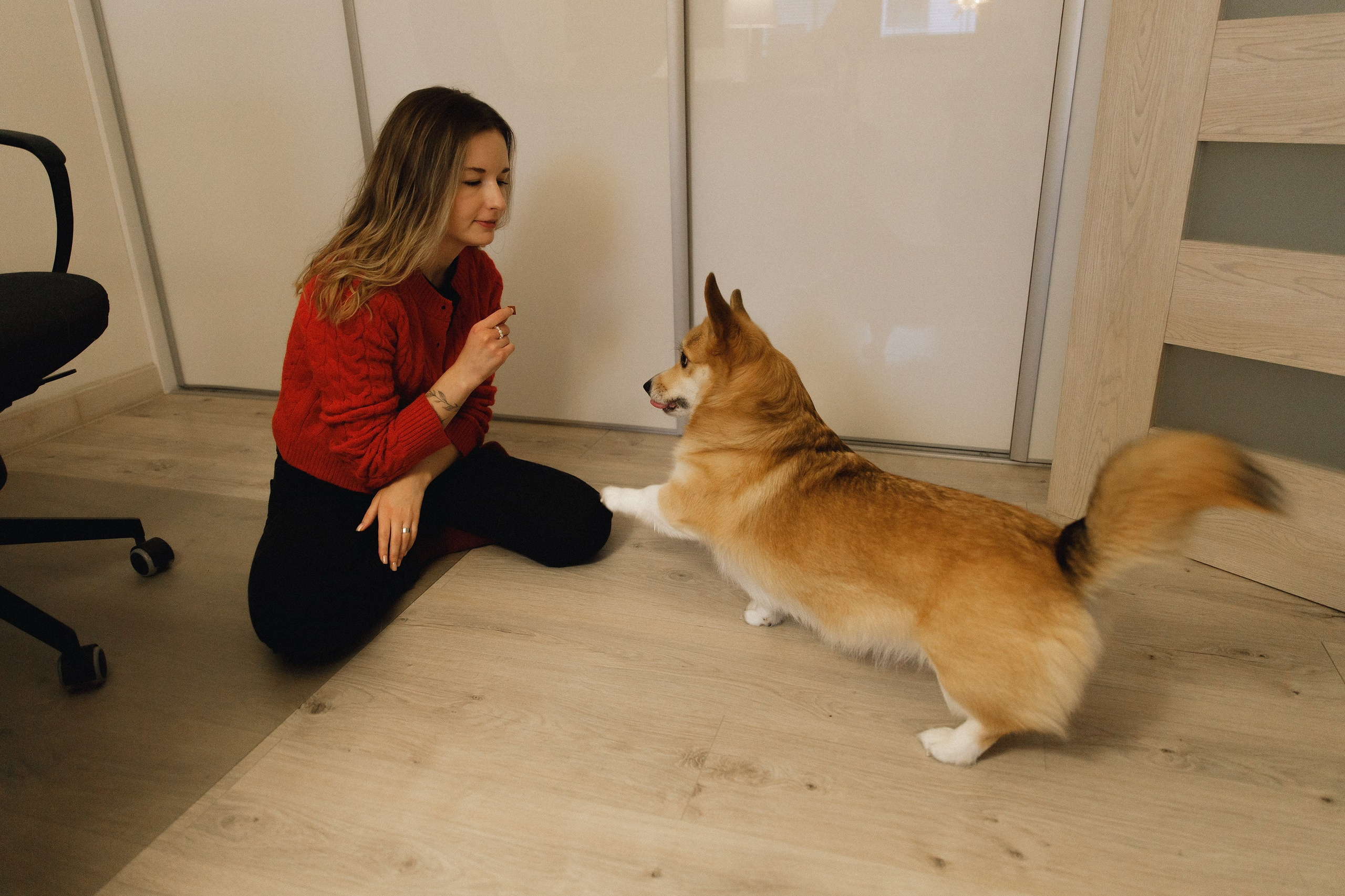 Dasha & Daisy. Kaja | fotograf psów we Wrocławiu