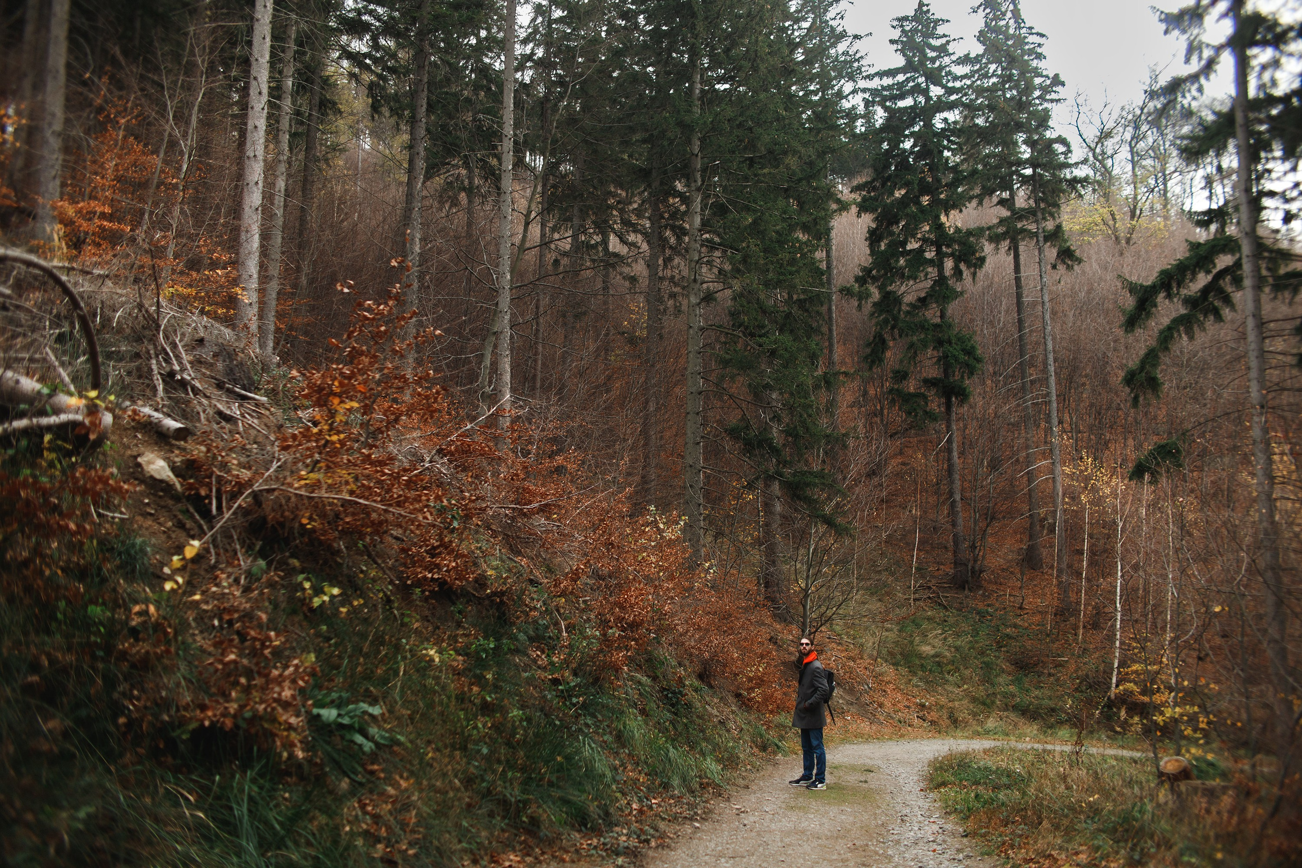Sowie góry. Kaja | fotograf we Wrocławiu | ludzie i psy