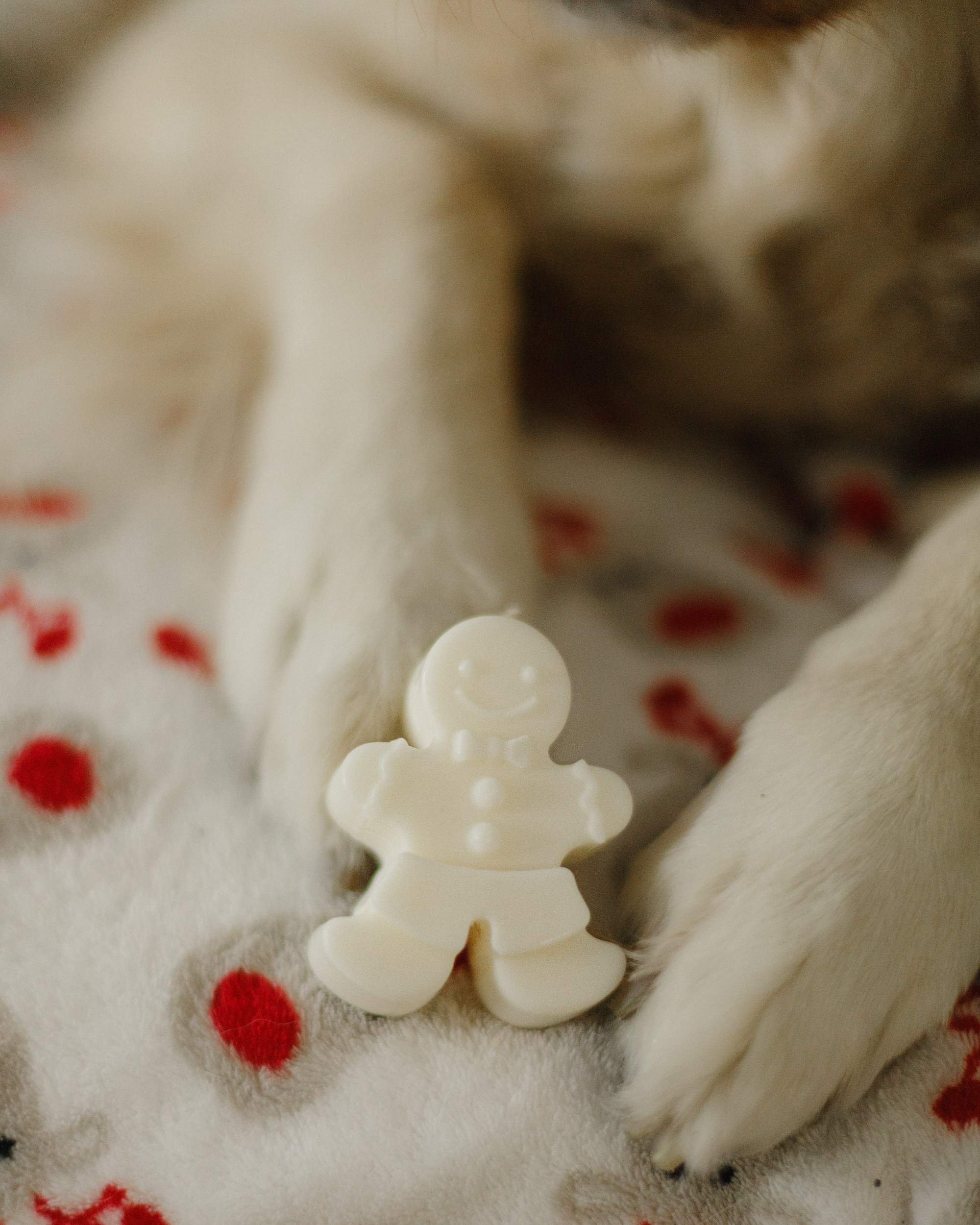 Candles | insta content. Kaja | fotograf we Wrocławiu | ludzie i psy