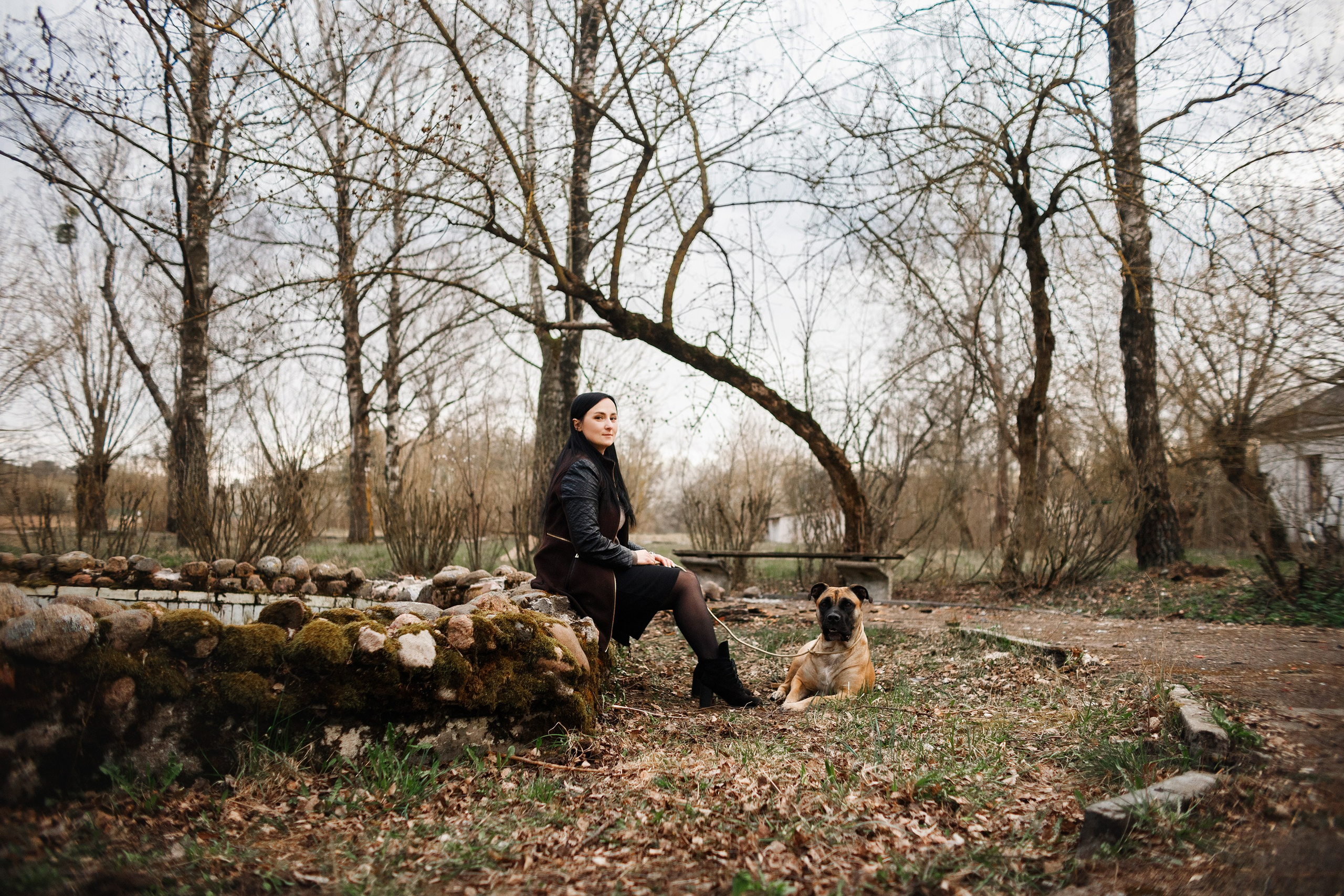 Spring ca de bou. Kaja | fotograf psów we Wrocławiu