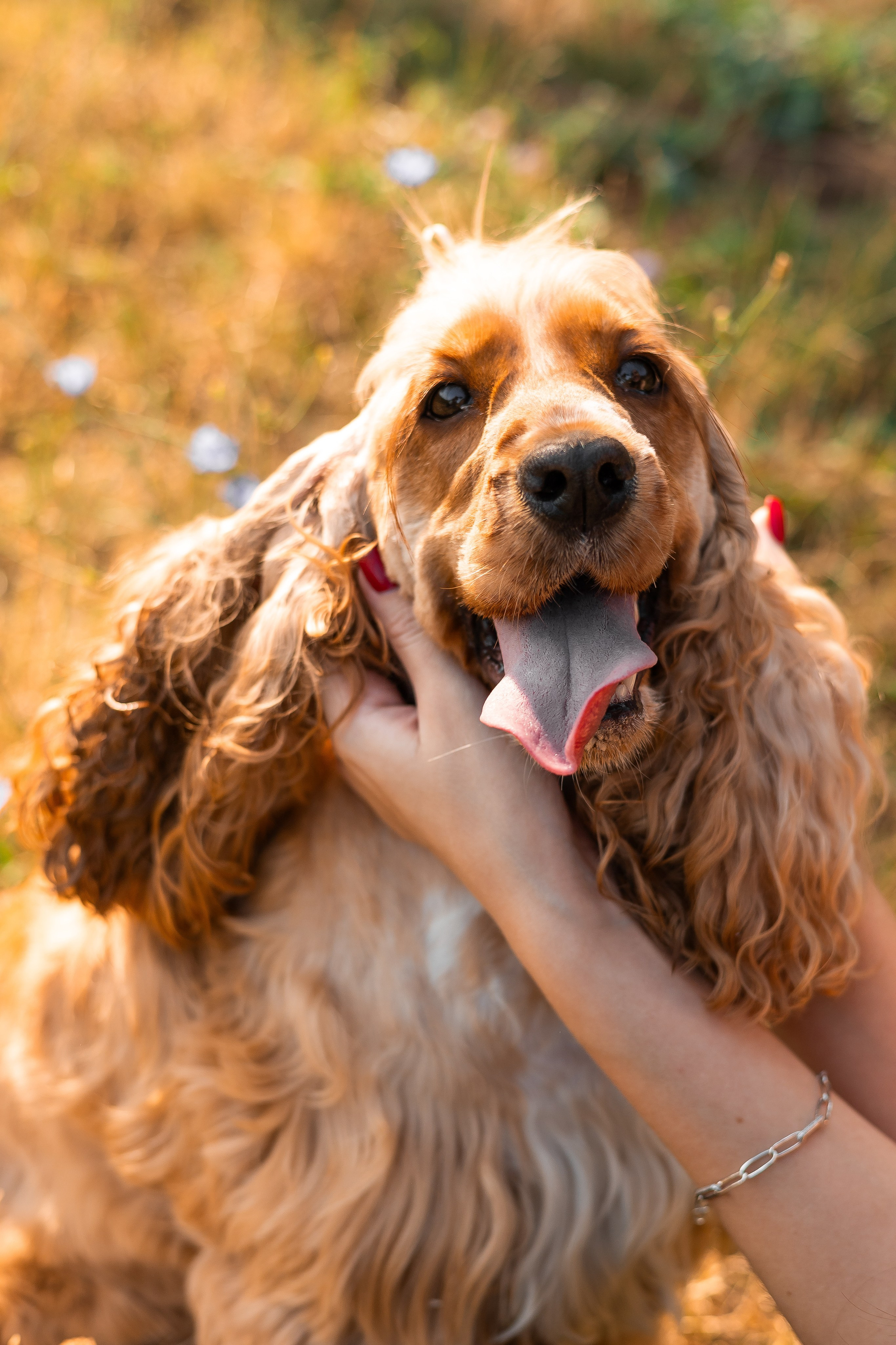 Алина и Юки. Фотограф-анималист | Белград