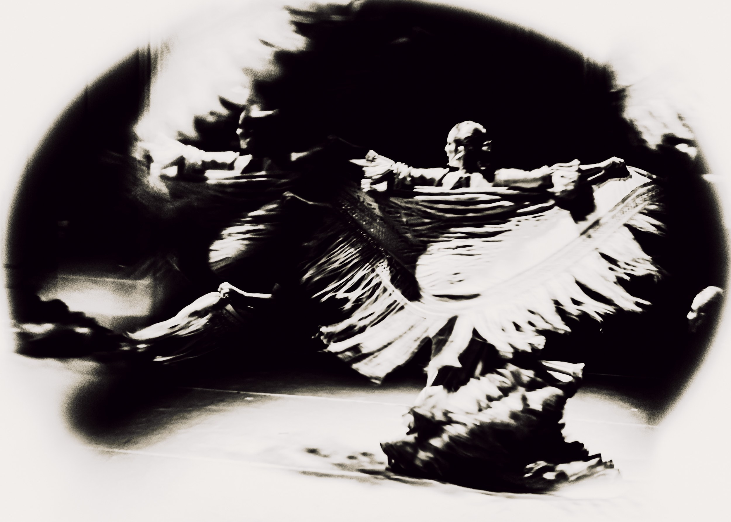 Flamenco spots. Ekaterina Tsurkina-Appina Photography Canada