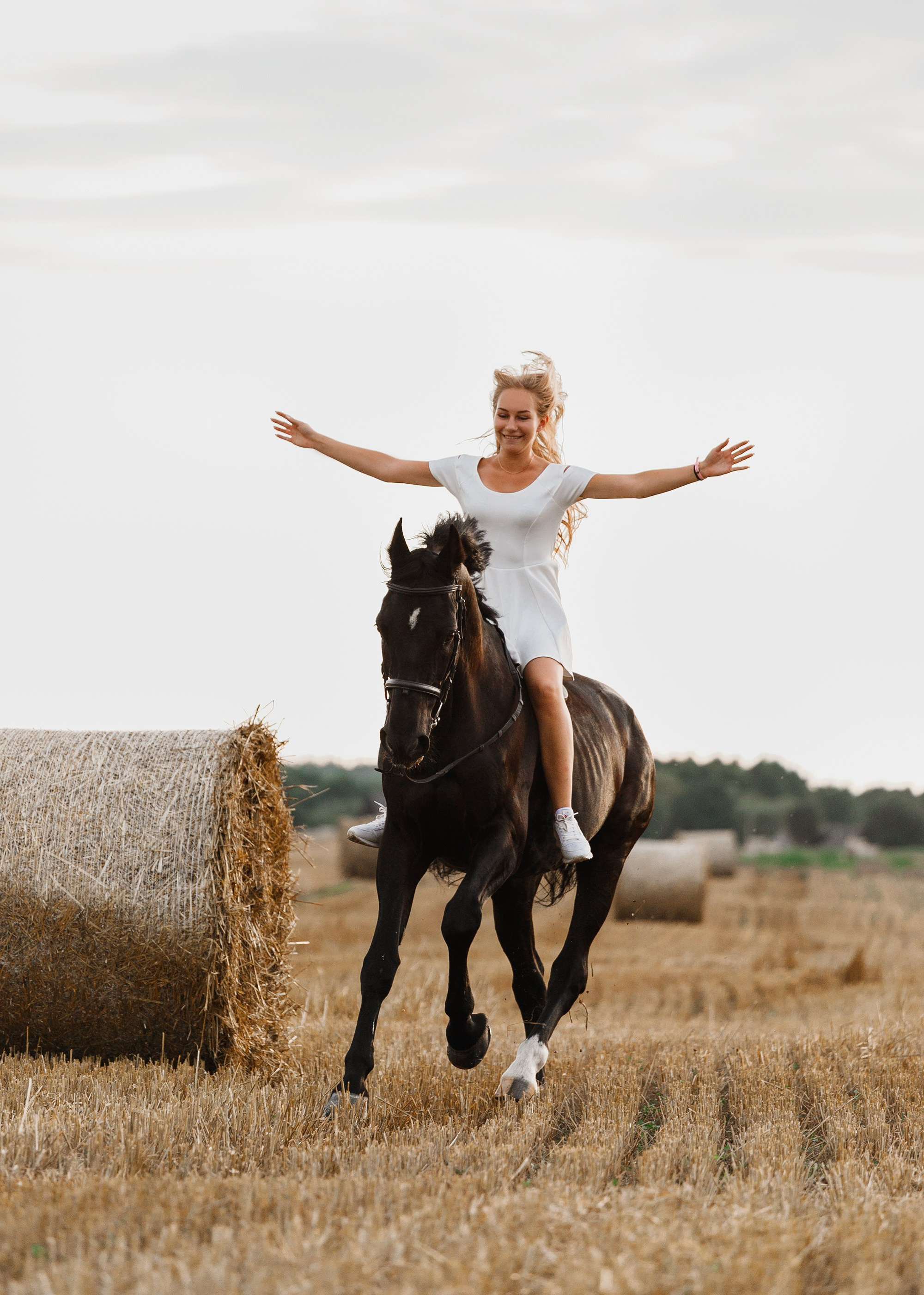 One sunset. Kaja | fotograf psów we Wrocławiu