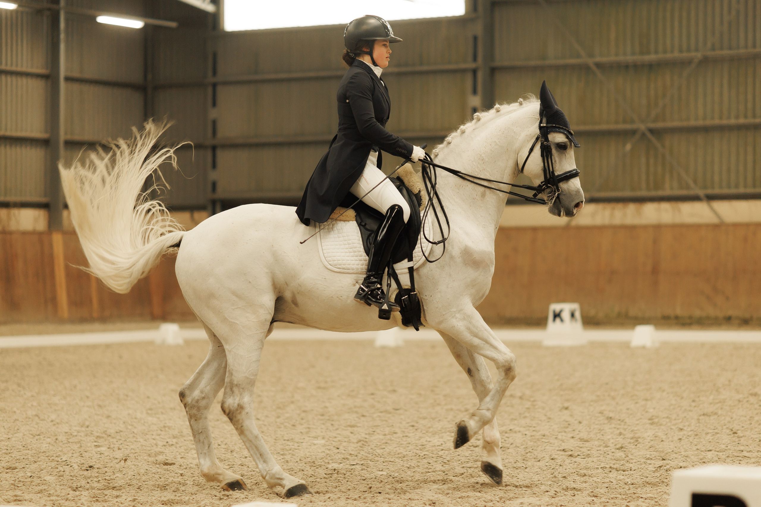 Fotografia koni Wrocław \ ujeżdżenie, Partynice. Kaja | fotograf we Wrocławiu | ludzie i psy