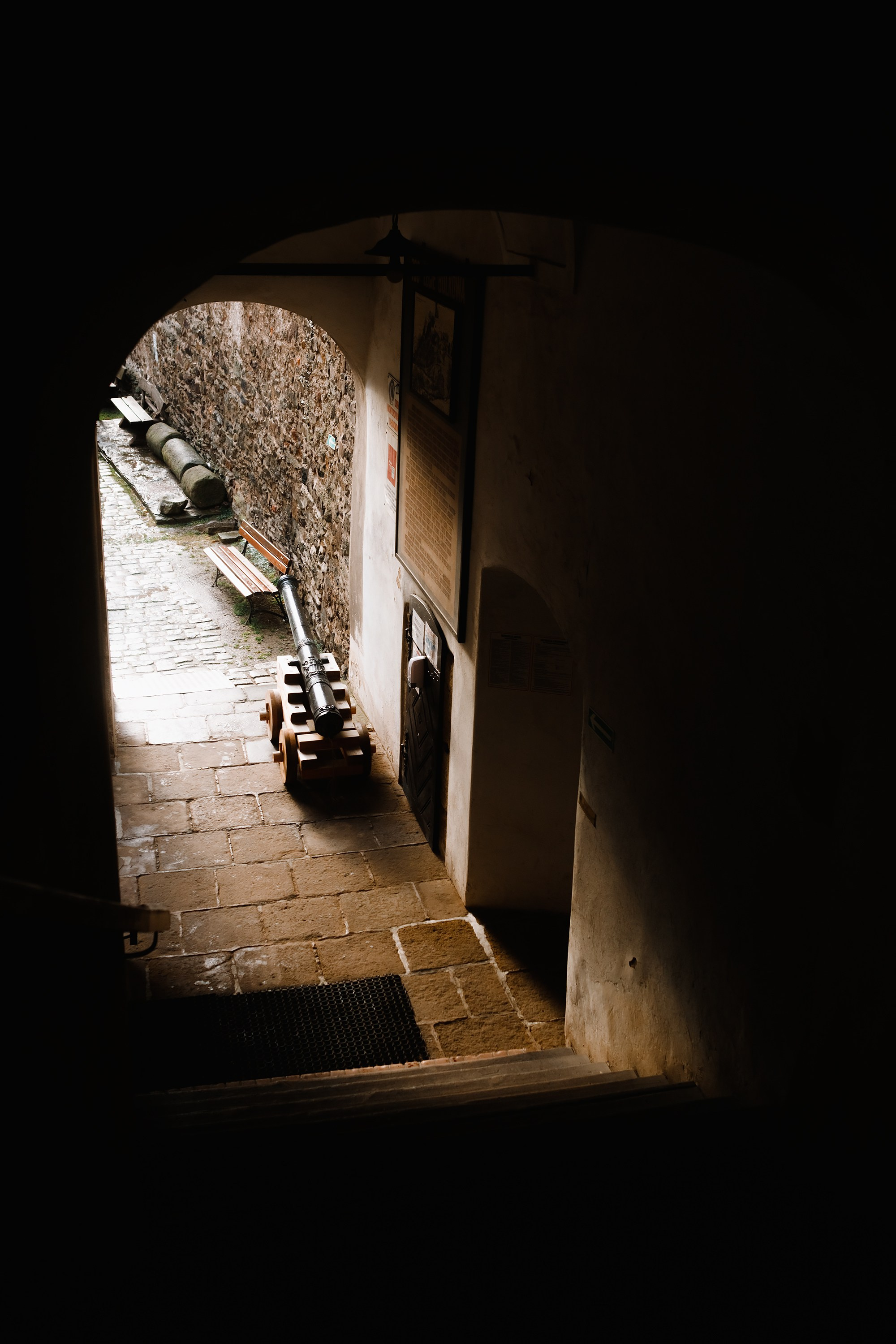 Bolków castle. Kaja | fotograf we Wrocławiu | ludzie i psy