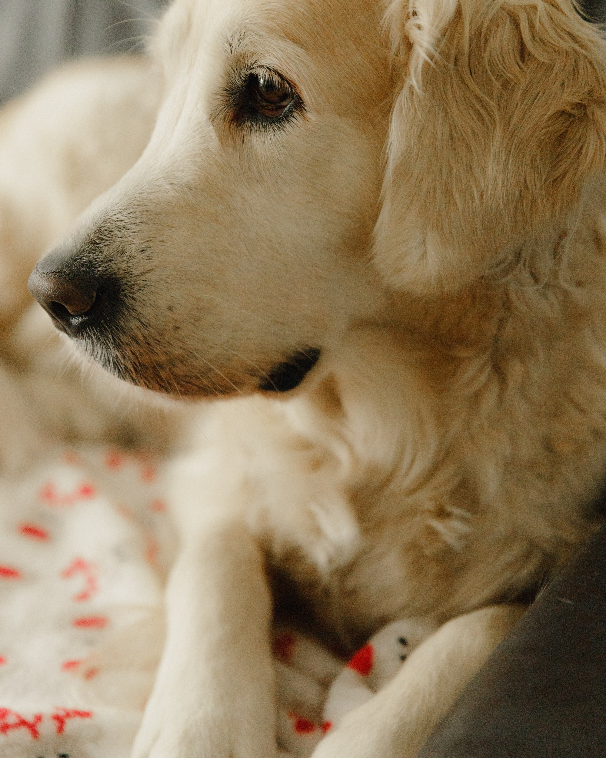 Candles | insta content. Kaja | fotograf we Wrocławiu | ludzie i psy