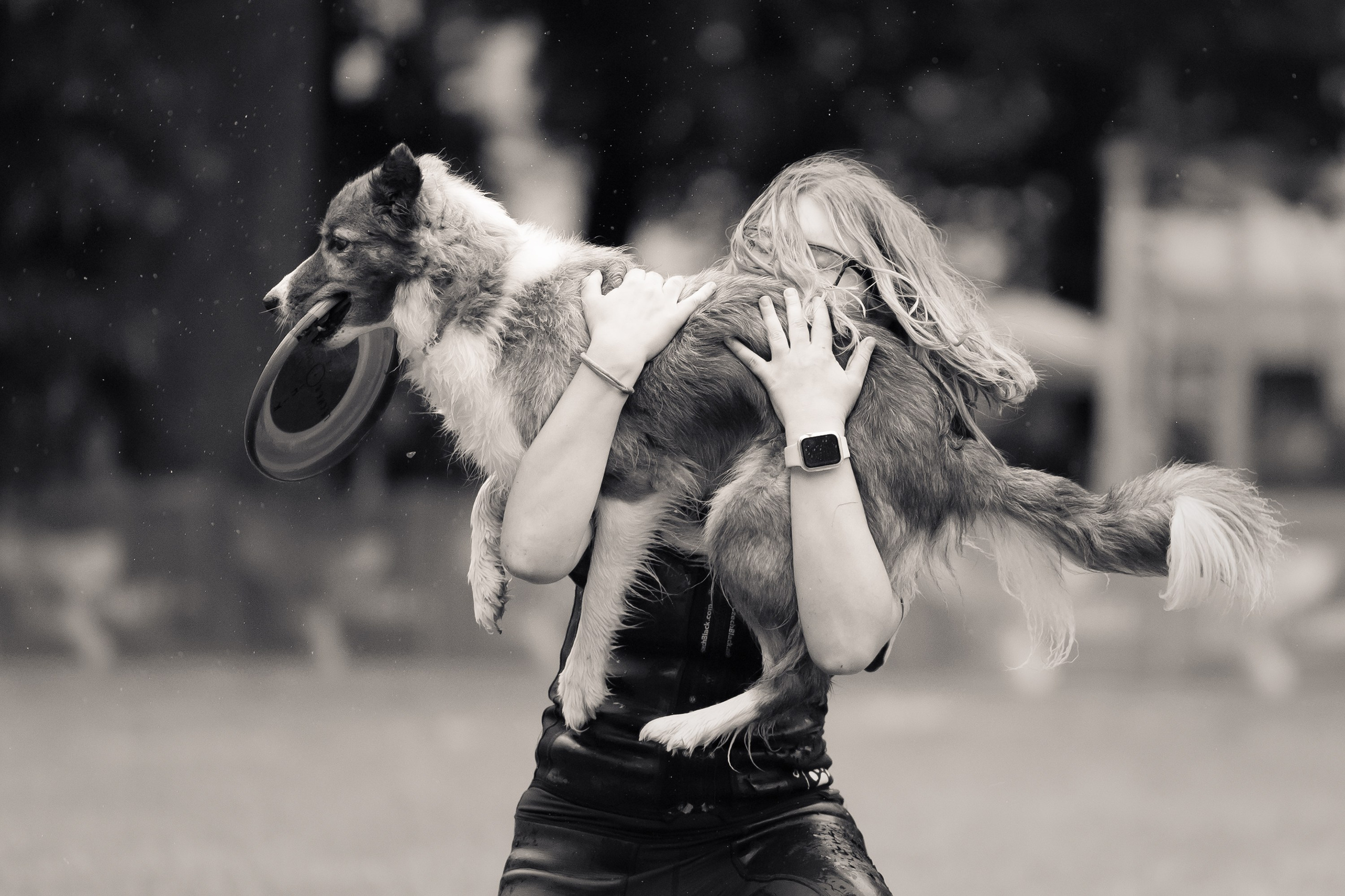 Latające psy, Wrocław'25. Kaja | fotograf psów we Wrocławiu