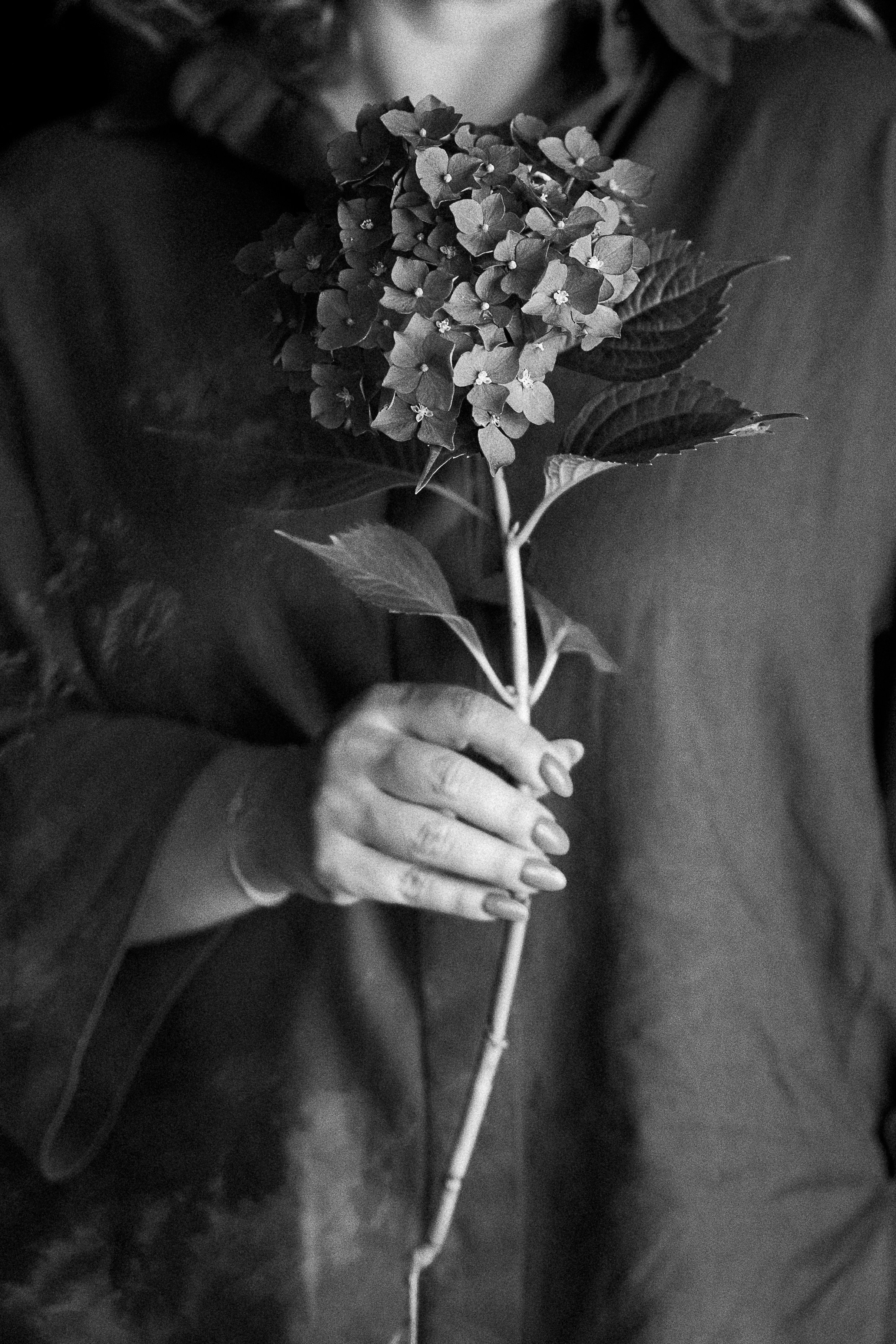 S. Rawnoir- Portrait photography by Daria Paliy.Timeless black&white portraits of women in NYC area