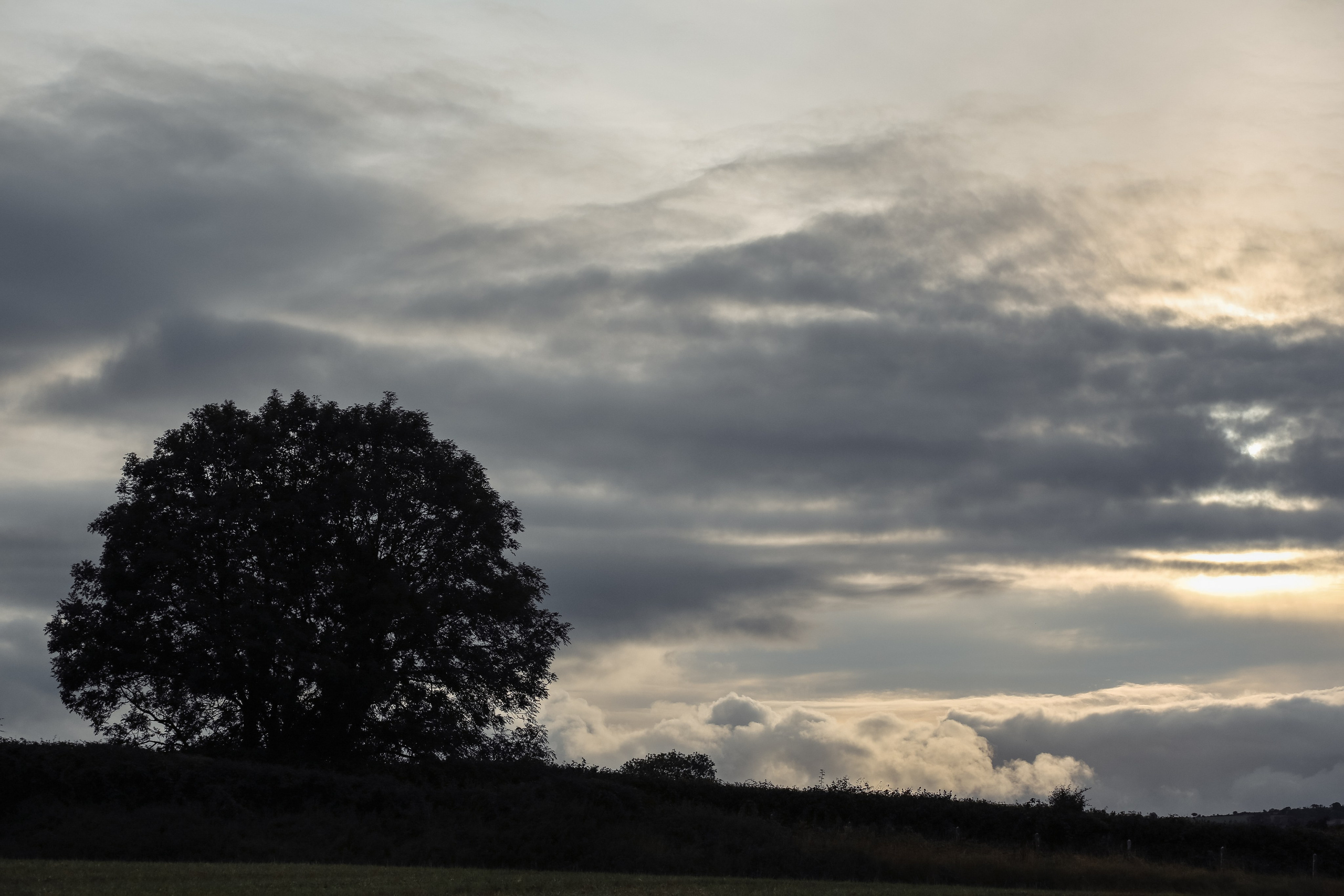 Veronika and Xavier. Wedding and family photographer in Cork, Ireland. Tigran