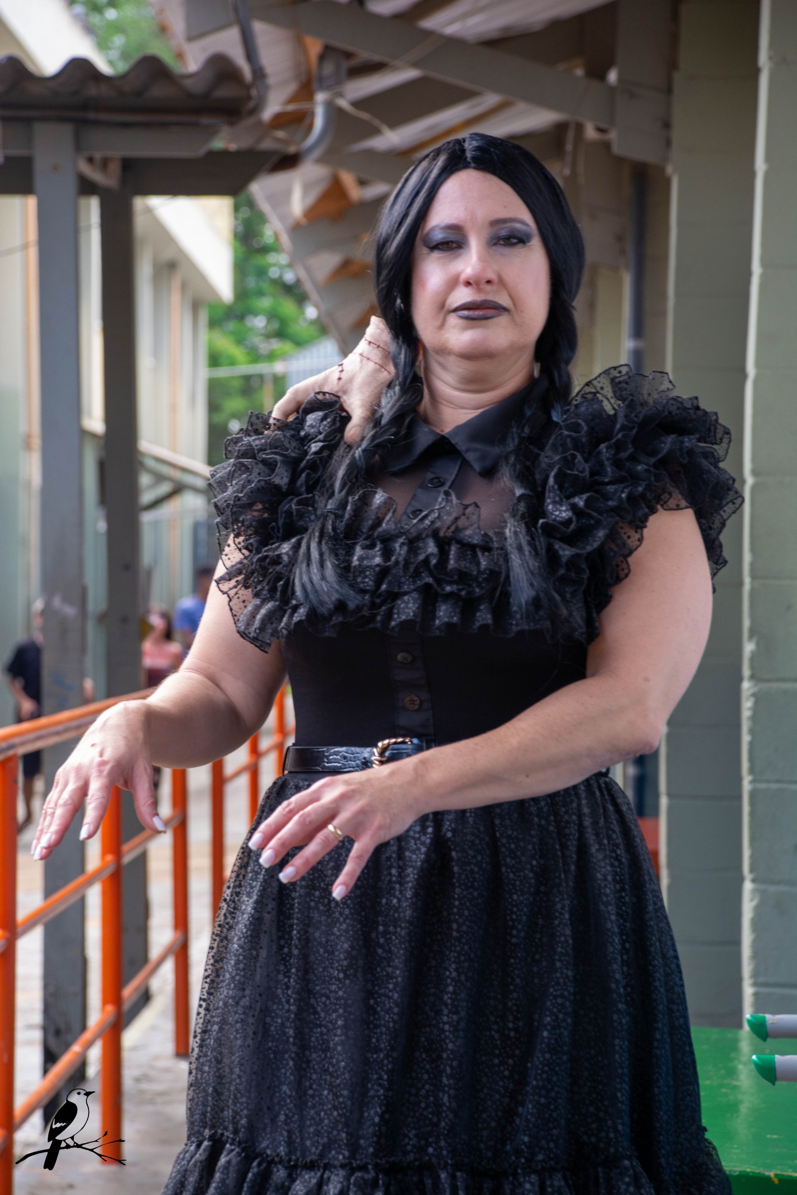Festa Halloween. AerobirdStudios