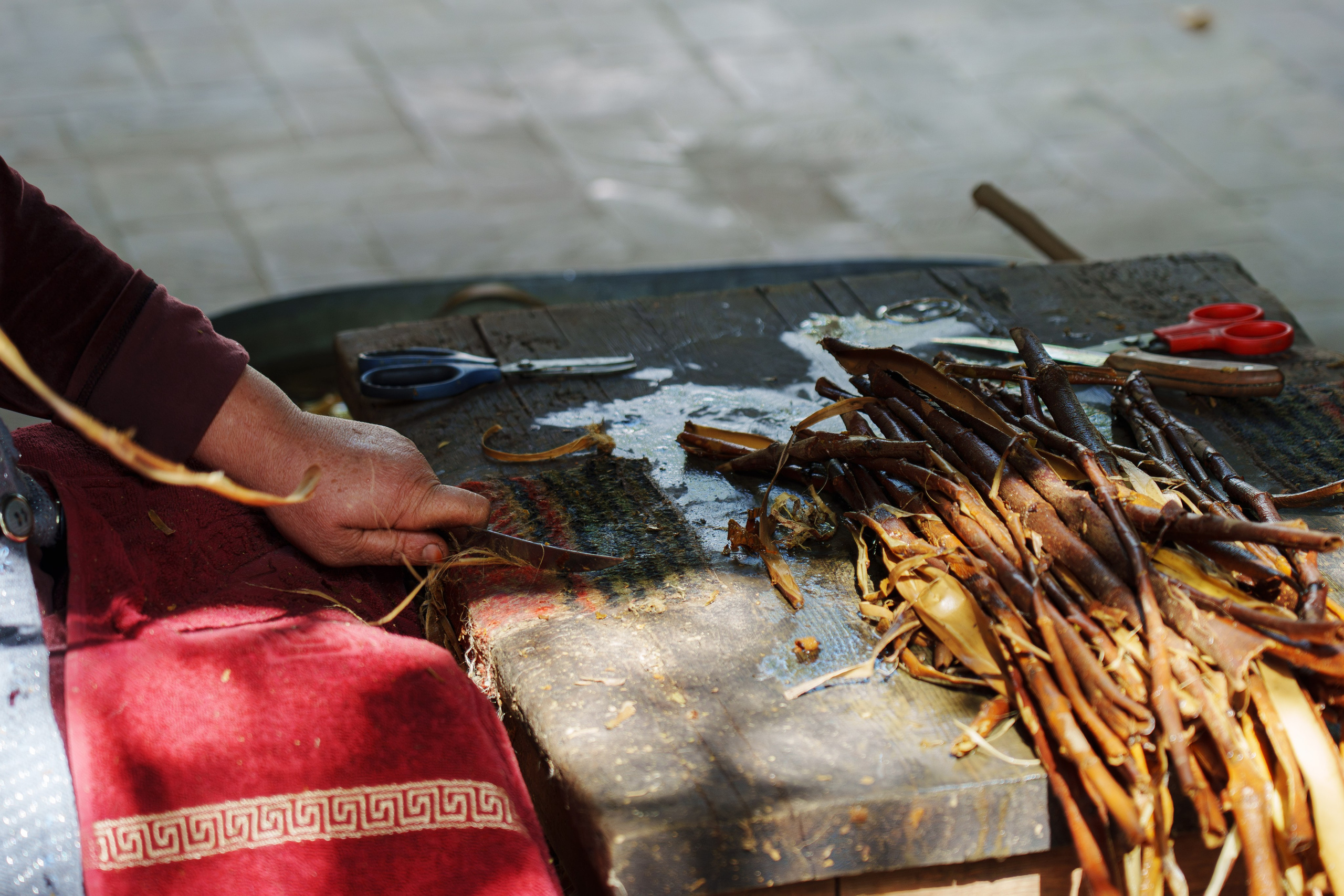 Делегация Синьхуа. Георгий Намазов | Фотограф в Ташкенте