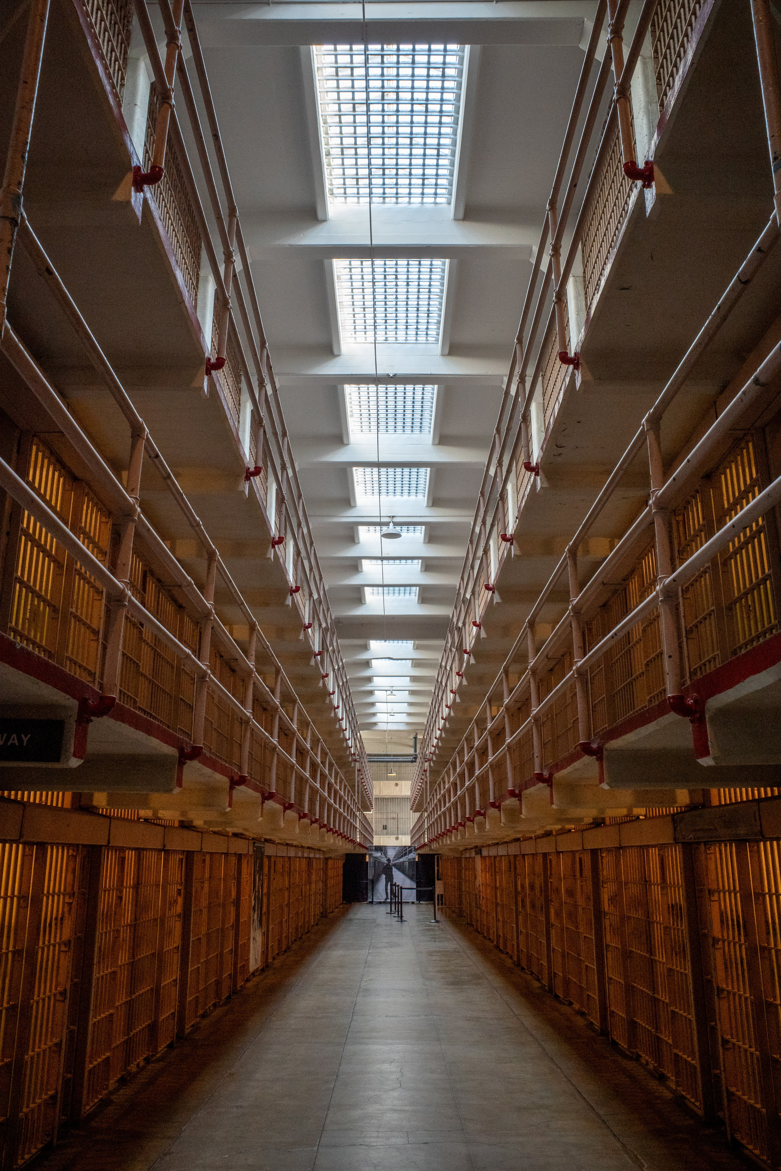 San Francisco. Aleks.photo | Book a photoshoot